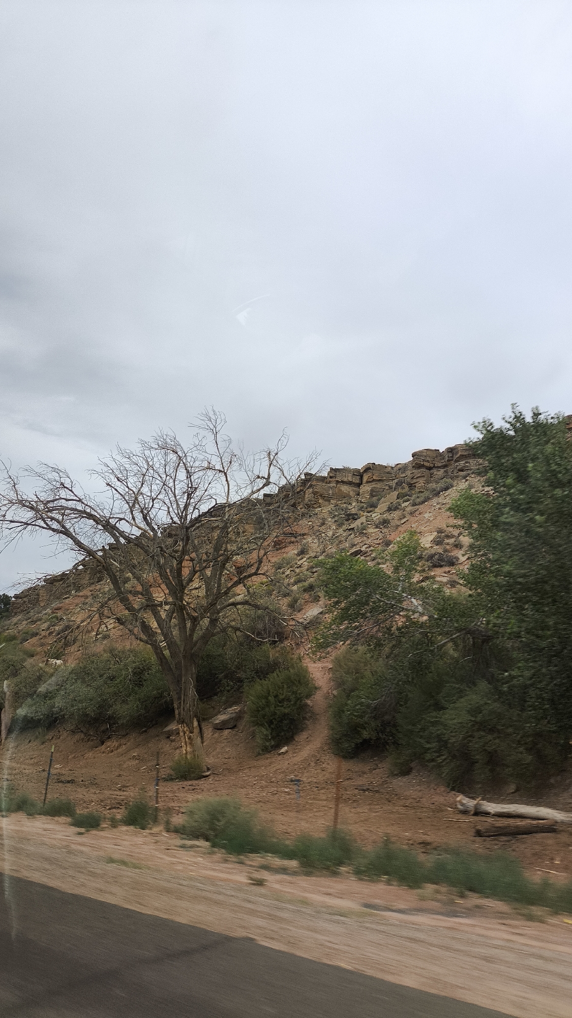 The image shows a natural landscape with a rocky hillside under a cloudy sky. In the foreground, there is a paved surface that appears to be a road, with a dry, leafless tree situated on the hillside behind it. The hillside is covered with sparse vegetation, including shrubs and small trees, and features a prominent rock ledge along the top. The overall scene depicts a somewhat arid environment, likely in a rural or undeveloped area. The location is identified as being in the city of Virgin, United States of America.