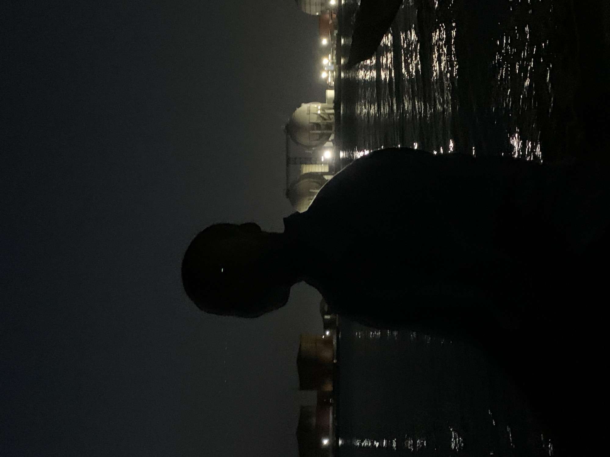 The image displays a dark, nighttime scene, likely in Ibasa, Nigeria, featuring a silhouette of a person in the foreground observing an industrial area across a body of water. The photograph is oriented vertically, but depicts a horizontal landscape.
On the left side of the image, the dark silhouette of a person's head and upper body is prominent, facing towards the right. A small, bright point of light is visible within the head's outline, possibly reflecting from an eye or surface.
Across a body of water, several large industrial structures, appearing to be storage tanks (some spherical), are brightly lit by numerous artificial lights. These lights are reflected distinctly on the ruffled surface of the water, creating shimmering, elongated streaks. The darkness of the sky and the reliance on artificial illumination confirm the time of day as night. The scene captures a moment of quiet observation of an illuminated industrial waterfront. No specific activity or event other than observation is taking place. There is no visible text within the image.