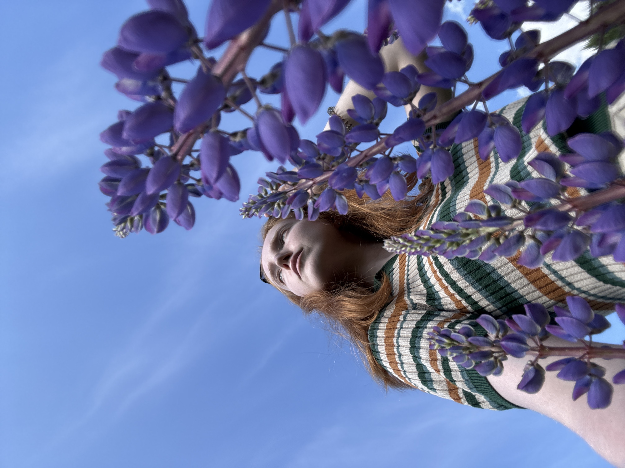 In the city of Chaikovsky, Russia, a low-angle photograph captures a young woman with reddish-brown hair, wearing a horizontally striped short-sleeved top in cream, tan, and dark green. She gazes upwards and slightly to her right, with a pair of dark sunglasses or a headband visible on top of her head. The woman is partially framed and surrounded by numerous stalks of vibrant purple flowers, consistent with lupines, which are prominent in the foreground and along the right side of the image. Some of these flowers are in sharp focus, while others are softly blurred, creating a sense of depth. The background is a clear, bright blue sky with subtle, wispy white clouds. The scene is illuminated by natural daylight.