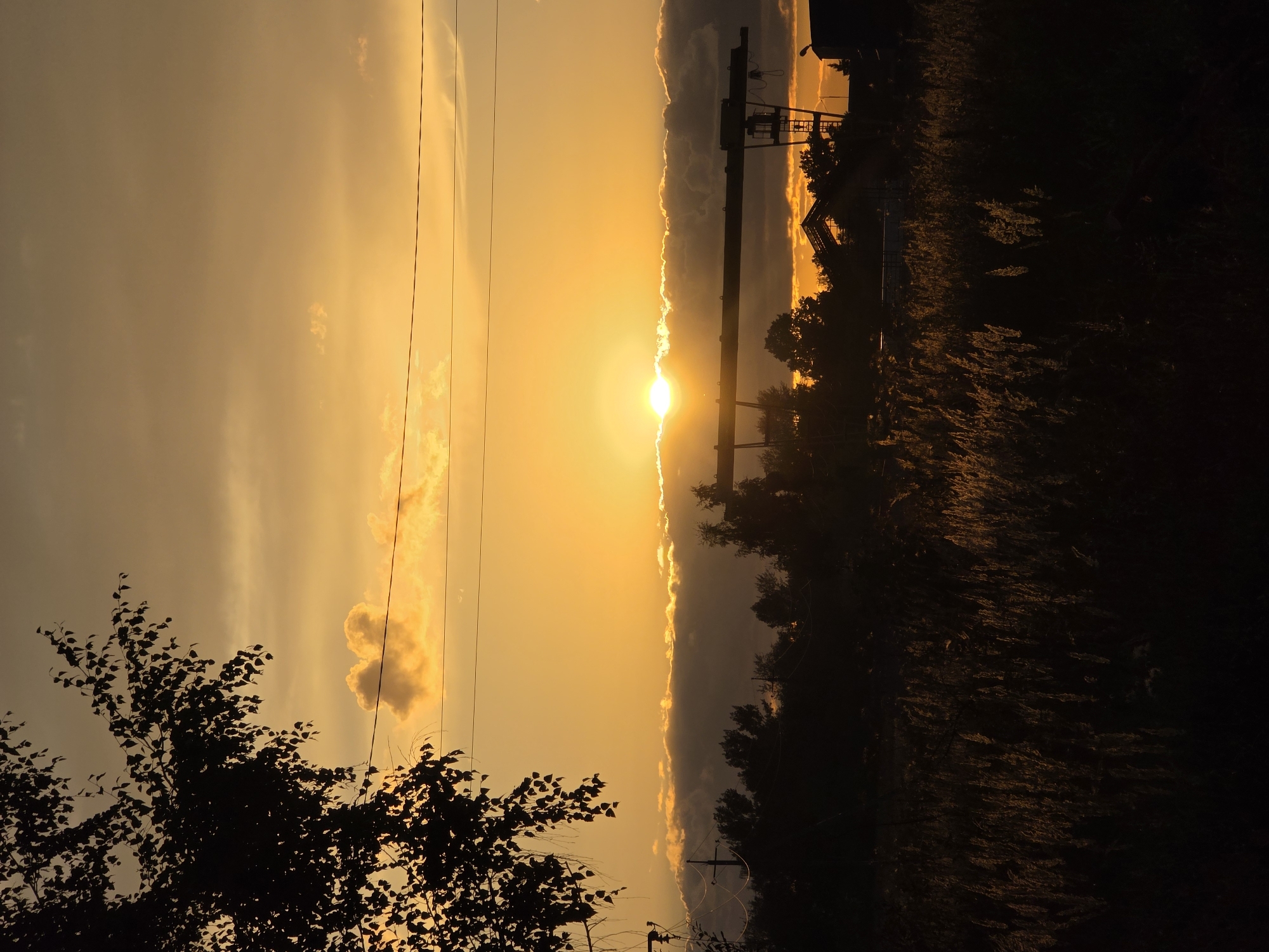 This vertical, high-angle shot captures a sunset over a rural landscape, possibly in the city of Rechitsy, Russia. The sky is a gradient of warm oranges and yellows, with the sun just beginning to dip below a band of dark clouds. A silhouette of a tree with dense foliage dominates the upper left corner, its branches reaching into the frame. Below the tree, two thin electrical wires stretch horizontally across the image. The middle ground features a dark silhouette of trees, with a prominent industrial gantry crane structure and a few building rooftops visible behind them. In the foreground, tall, dry grasses are illuminated by the fading sunlight, creating a shimmering effect against the dark ground. The scene is devoid of any people or animals. The overall impression is one of a tranquil, end-of-day view in a semi-rural or industrial outskirts setting.