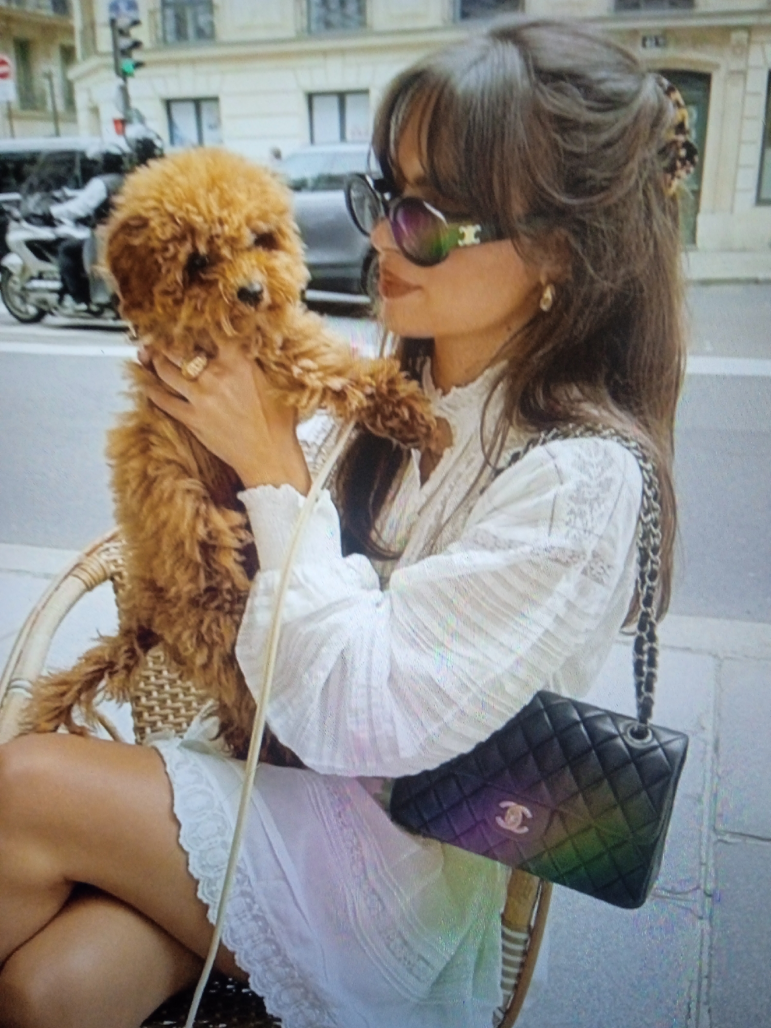 In the original image, a woman is seated at an outdoor cafe, holding a small, fluffy, light brown dog. She is wearing a white lace-trimmed dress and large sunglasses with a distinctive logo on the frames. The dog appears to be a poodle mix. The woman has dark hair pulled back with a patterned clip. A black quilted handbag with a chain strap, also featuring a prominent logo, rests on her lap. The background suggests an urban setting with a street, a traffic light, and buildings. The image does not contain any elements that would suggest it was taken in Chernivtsi, Ukraine.