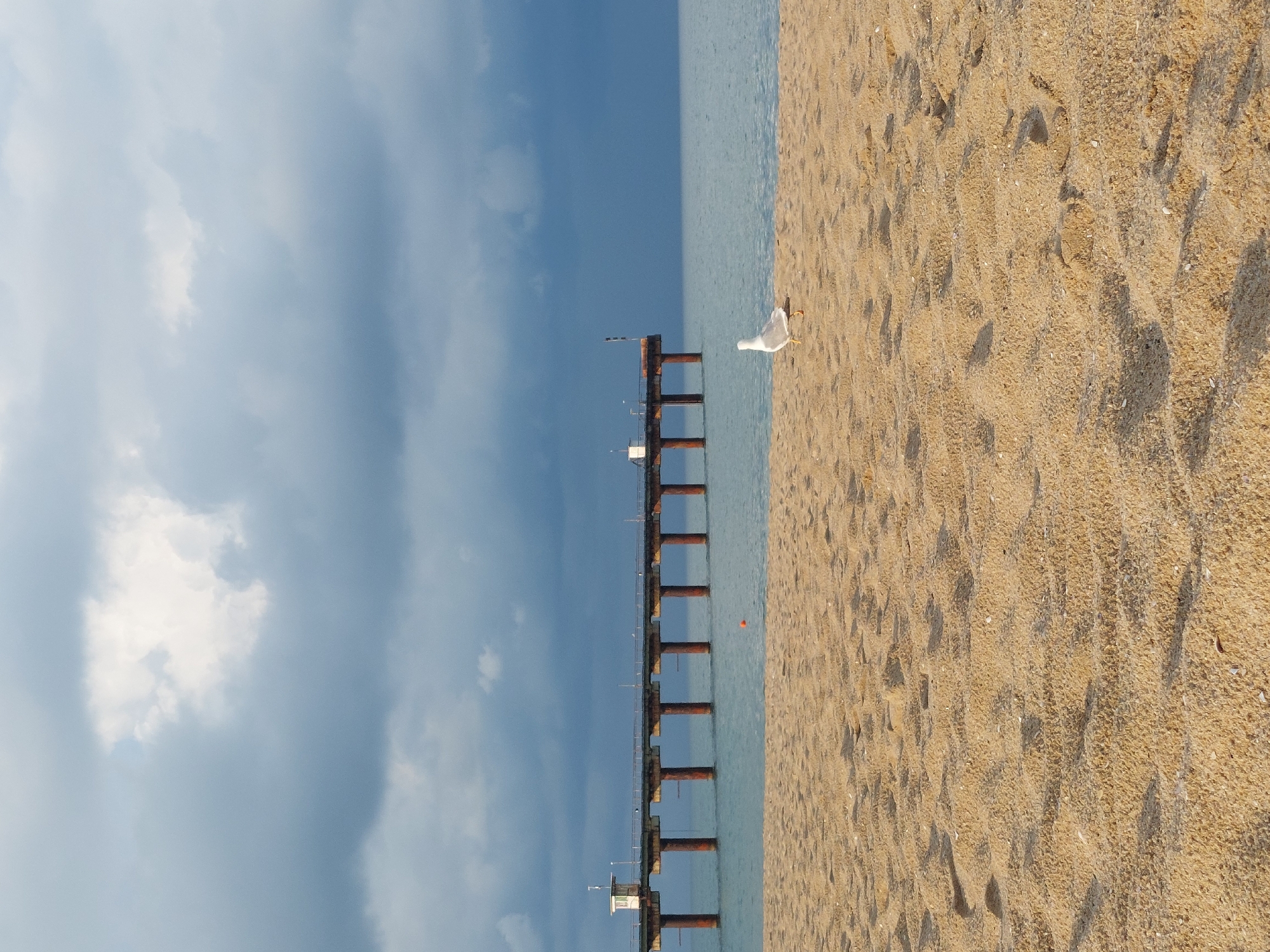 The image captures a serene beach scene in Shkorpilovtsi, Bulgaria, under a dramatic cloudy sky. In the foreground, a textured sandy beach with visible footprints stretches towards the tranquil sea. A single seagull stands on the sand, facing away from the viewer and towards the water.
Further out, a long, weathered pier extends into the sea, supported by numerous sturdy pillars. The pier features a small, white structure with windows near its beginning, and several poles and lights are visible along its length. The sea is calm and reflects the muted colors of the sky. The overall atmosphere is one of quiet solitude and natural beauty, with the pier serving as a prominent man-made element against the backdrop of the vast sea and sky.