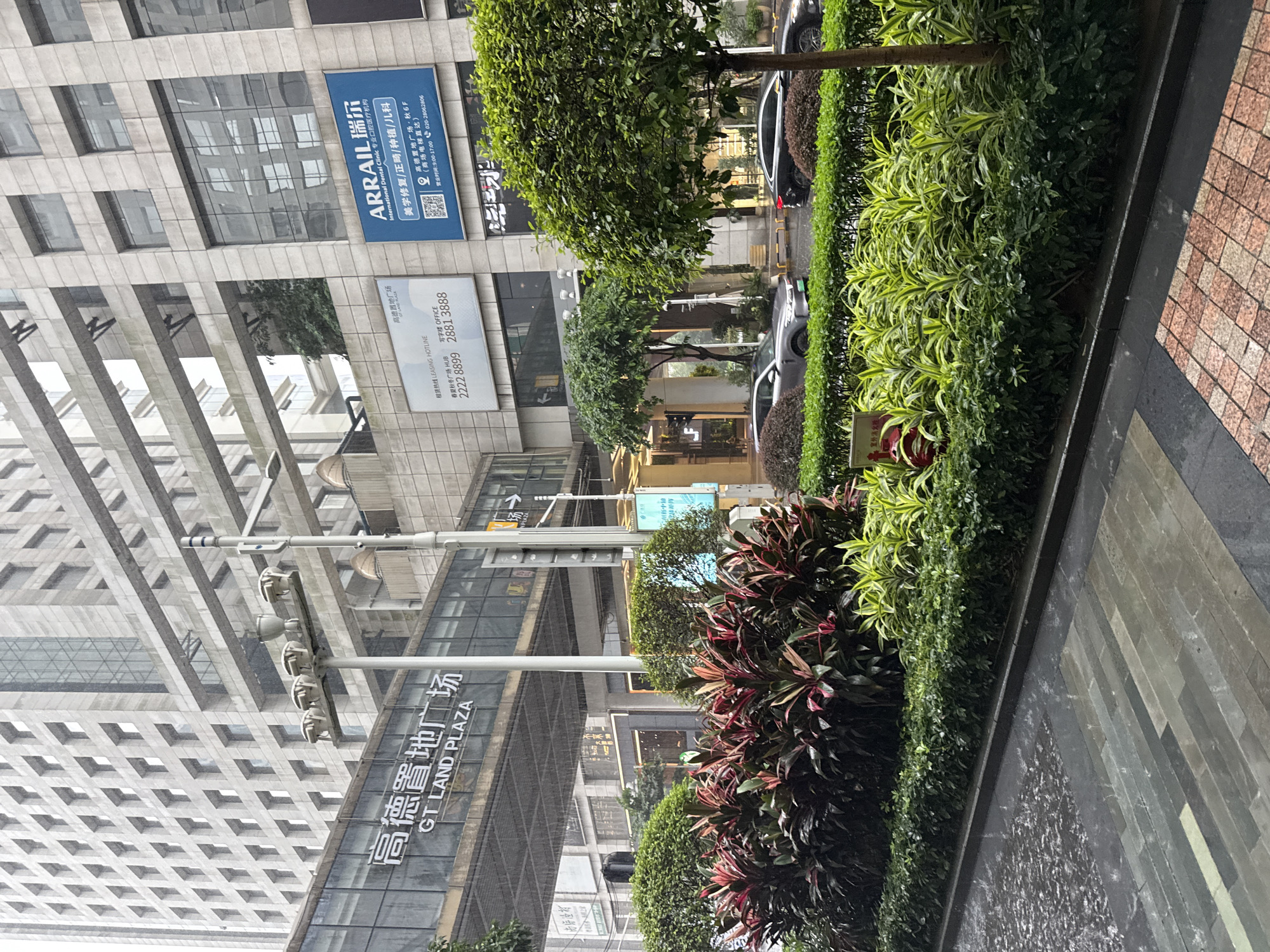 The image depicts an outdoor urban scene in Tianhe District, China, likely on a rainy day as evidenced by the wet pavement and visible raindrops. In the foreground, a paved walkway with rectangular tiles is wet, showing reflections. Adjacent to the walkway is a well-maintained green space with various types of plants, including a prominent cluster of red and green leafed plants. Behind this, a neatly trimmed hedge forms a border. Beyond the greenery, a street is visible with two cars, a silver sedan and a black sedan, parked or driving on it. The street is also wet.
In the mid-ground, a glass-enclosed walkway or bridge spans across a building facade. On the building, multiple signs are visible. One sign, with Chinese characters and the text "GT LAND PLAZA," is prominently displayed. Another blue sign advertises "ARRAIL" and a dental clinic. Further up the building, more signs are visible, including one with "Leasing Hotline." The architecture is modern and characterized by repeating window patterns. In the background, the upper floors of a tall, multi-story building are visible, suggesting a commercial or office complex. A lamppost with multiple light fixtures is also present. The overall impression is of a well-developed urban environment with active commercial spaces and landscaping.
