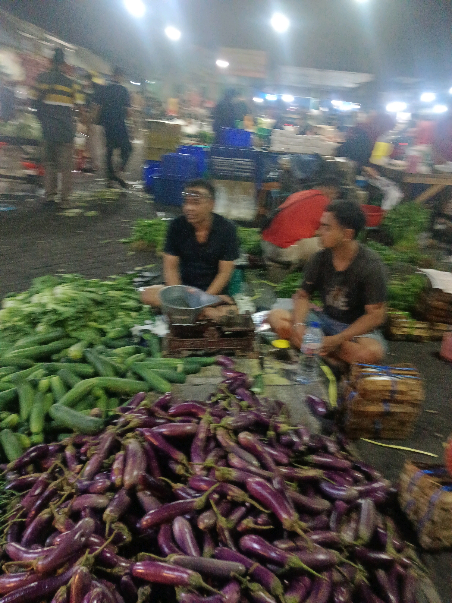The image captures a dimly lit outdoor market scene, likely at night, in the Wonocolo area of Indonesia. The focus is on two men sitting cross-legged amidst piles of fresh produce. In the foreground, a large mound of elongated purple eggplants is prominently displayed. To the left of the eggplants, a substantial pile of green cucumbers stretches across the frame.
The man on the left, wearing a dark t-shirt, is seated near a metal scale. The man on the right, also in a dark t-shirt and shorts, is holding a bottle of water. Both appear to be vendors or stallholders.
Behind the men, the market environment is blurred but suggests a bustling atmosphere. Shelves or tables are visible with various items, and other people can be seen in the background, though they are indistinct due to the low light and motion blur. Blue bins are scattered around, and wooden crates containing produce are stacked. The ground appears to be asphalt or packed dirt. The overall impression is of a local market operating under artificial lighting.