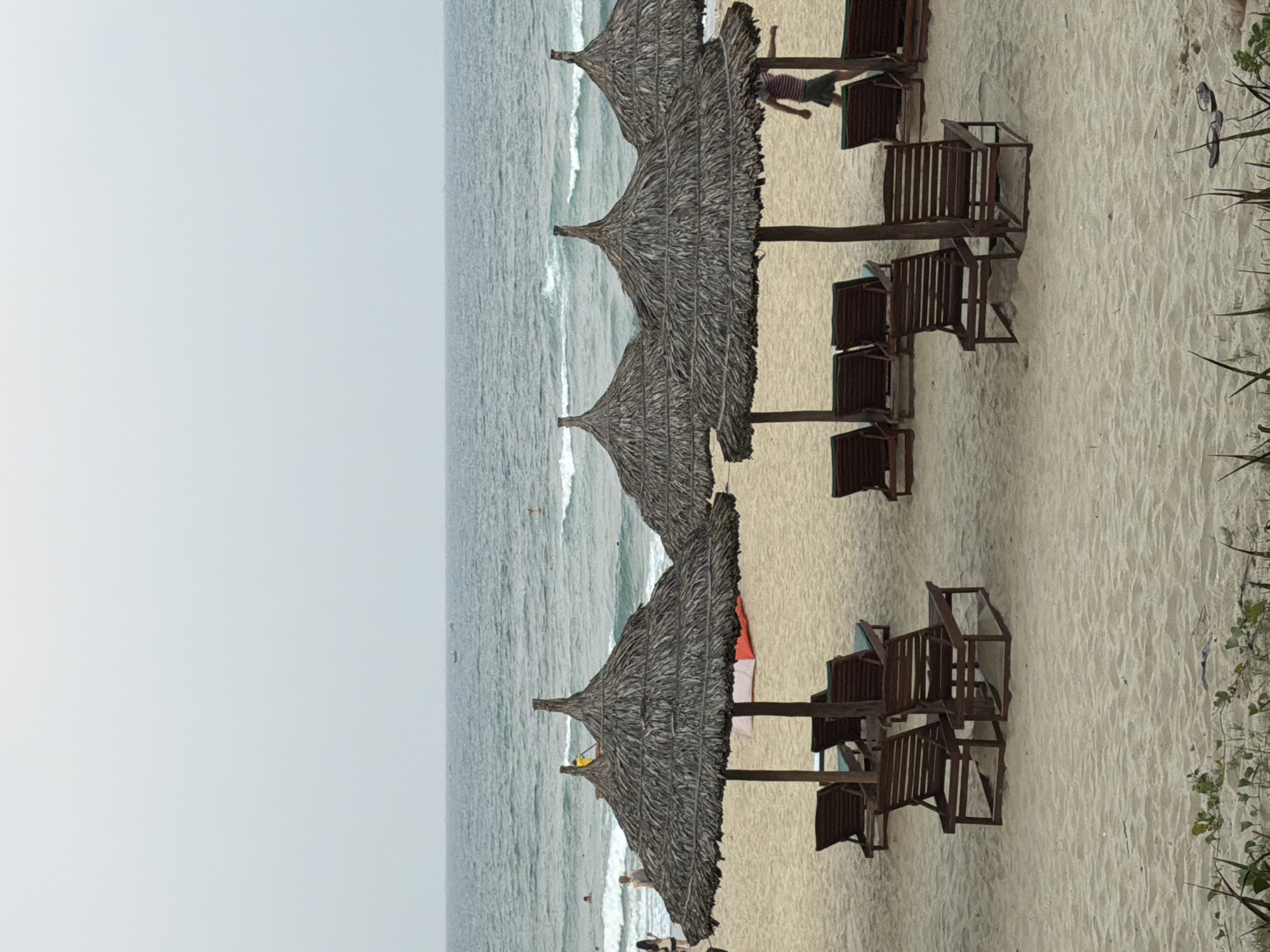 The image captures a coastal scene, likely on a beach in Đà Nẵng, Vietnam. The dominant features include a row of beach umbrellas with thatched roofing, positioned along the sandy shoreline. Adjacent to each umbrella are several dark-colored wooden beach chairs. The sea stretches out to the left of the umbrellas, showing some wave action. In the distance, people can be seen in the water and on the beach. The sky appears overcast. On the right, vegetation grows along the edge of the beach. A person is walking along the beach near the first umbrella.