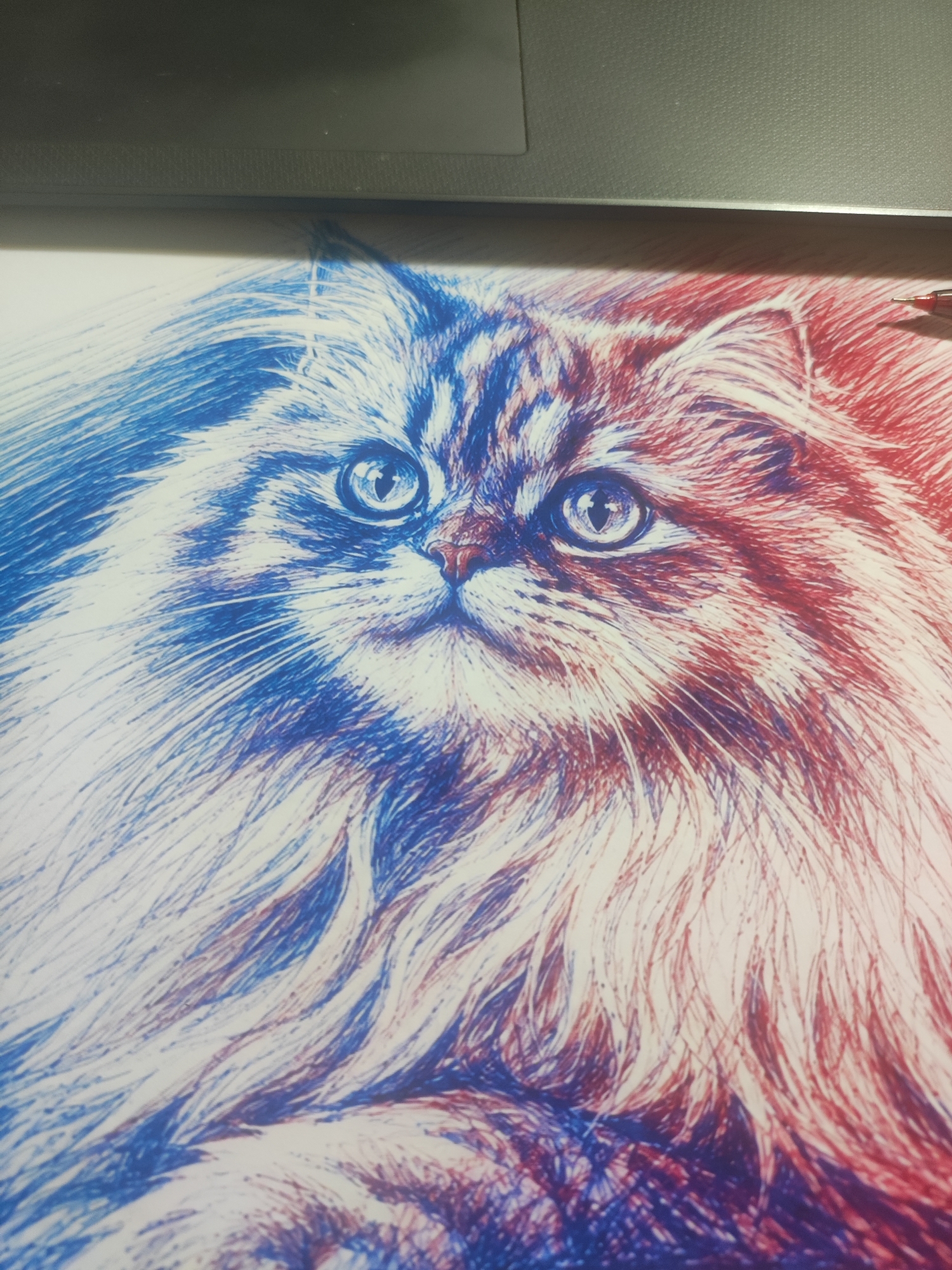 The image is a close-up, eye-level, vertical shot of a drawing of a cat's face, rendered in red and blue ink. The cat is depicted with long, flowing fur, and its eyes are wide open and looking directly at the viewer. The drawing style is sketchy, with visible lines and hatching used to create texture and depth. The left side of the cat's face is primarily rendered in blue ink, while the right side is in red ink, creating a striking bicolor effect. The background is out of focus and appears to be a textured, gray surface, possibly a laptop keyboard or a desk. A small portion of a red pen is visible in the upper right corner of the image, resting on the drawing. There are no people present in the image. The drawing is on a white surface, possibly paper. The location is unknown.