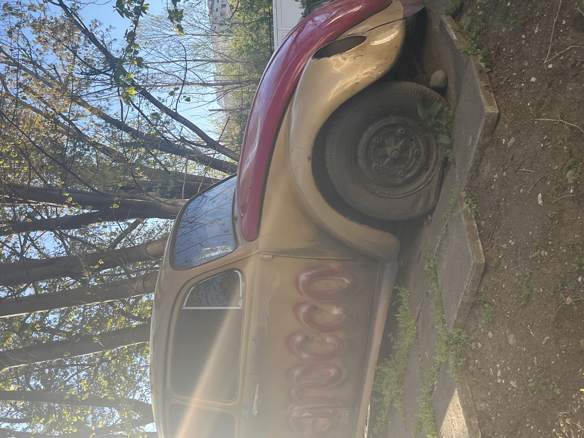 A derelict two-tone red and beige Volkswagen Beetle, likely a classic model, is situated partially on a concrete platform beside a dirt and weed-covered patch. The car appears to be significantly weathered, with visible rust and faded paint. "Arecco" is painted on the side of the car in reddish paint. The front driver's side of the vehicle is heavily damaged. The car is surrounded by vegetation, including some small leafy plants growing next to the concrete. In the background, there are trees with visible branches, and a building can be seen in the distance. Considering the architectural style and greenery, the scene is plausibly within Sofia, Bulgaria, based on the user's request.