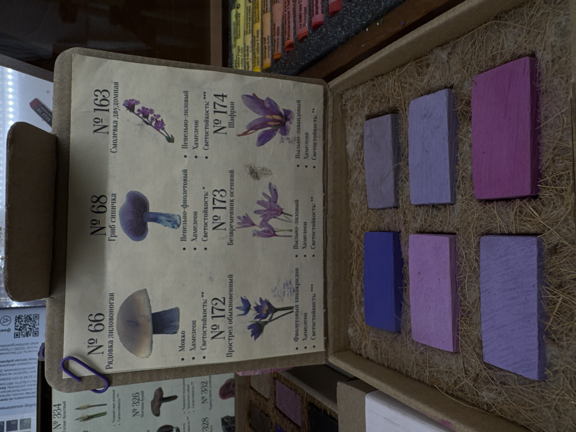 The image shows a close-up view of a retail display of artist pastels, likely in a store in Moscow, Russia. The pastels are arranged in a box lined with straw-like material. The prominent elements are rectangular blocks of pastels in various shades of purple and blue. Above the pastels, a board displays information about different colors, with illustrations of mushrooms and flowers. The board includes labels with numbers and Russian text, indicating color names and properties such as lightfastness. The overall scene suggests a professional art supply store or a section dedicated to pastels within a larger craft store.