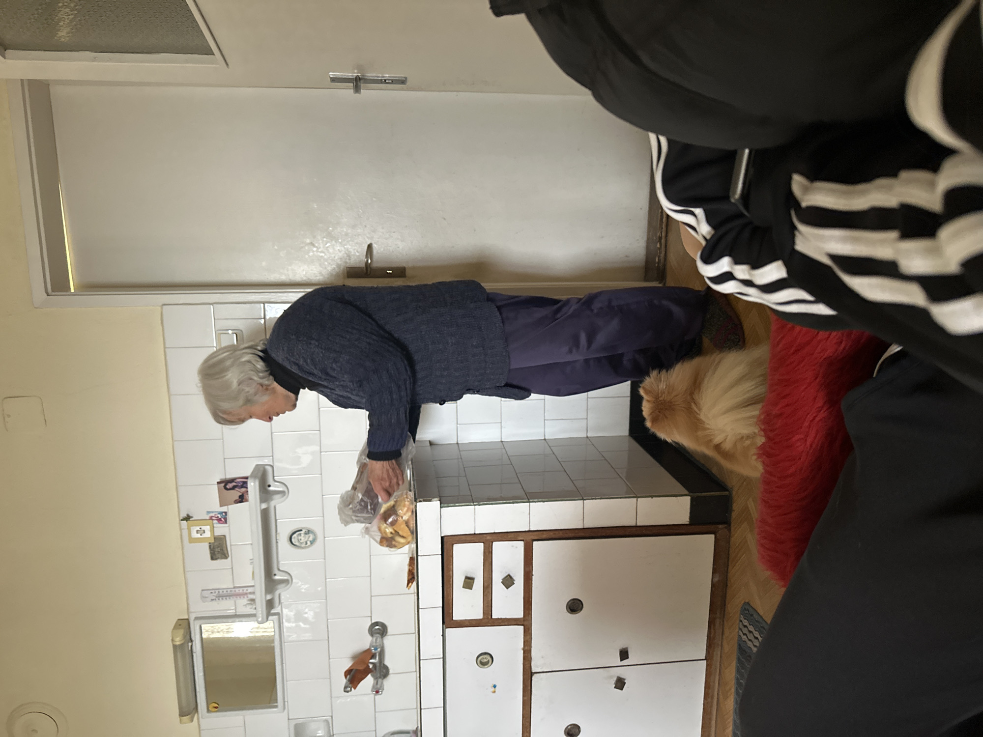 An interior shot of a kitchen in Stara Zagora, Bulgaria, shows an elderly woman with gray hair standing at a tile-covered countertop, holding a plastic bag with bread inside. The kitchen features white tile walls with a few small pictures, a sink and faucet, and a small mirror. A white cupboard with brown trim stands next to the countertop. To the right, a person is partially visible, wearing black sportswear with white stripes. A reddish fur rug and a light-colored dog are on the floor. A white door with a silver handle and lock is in the background.