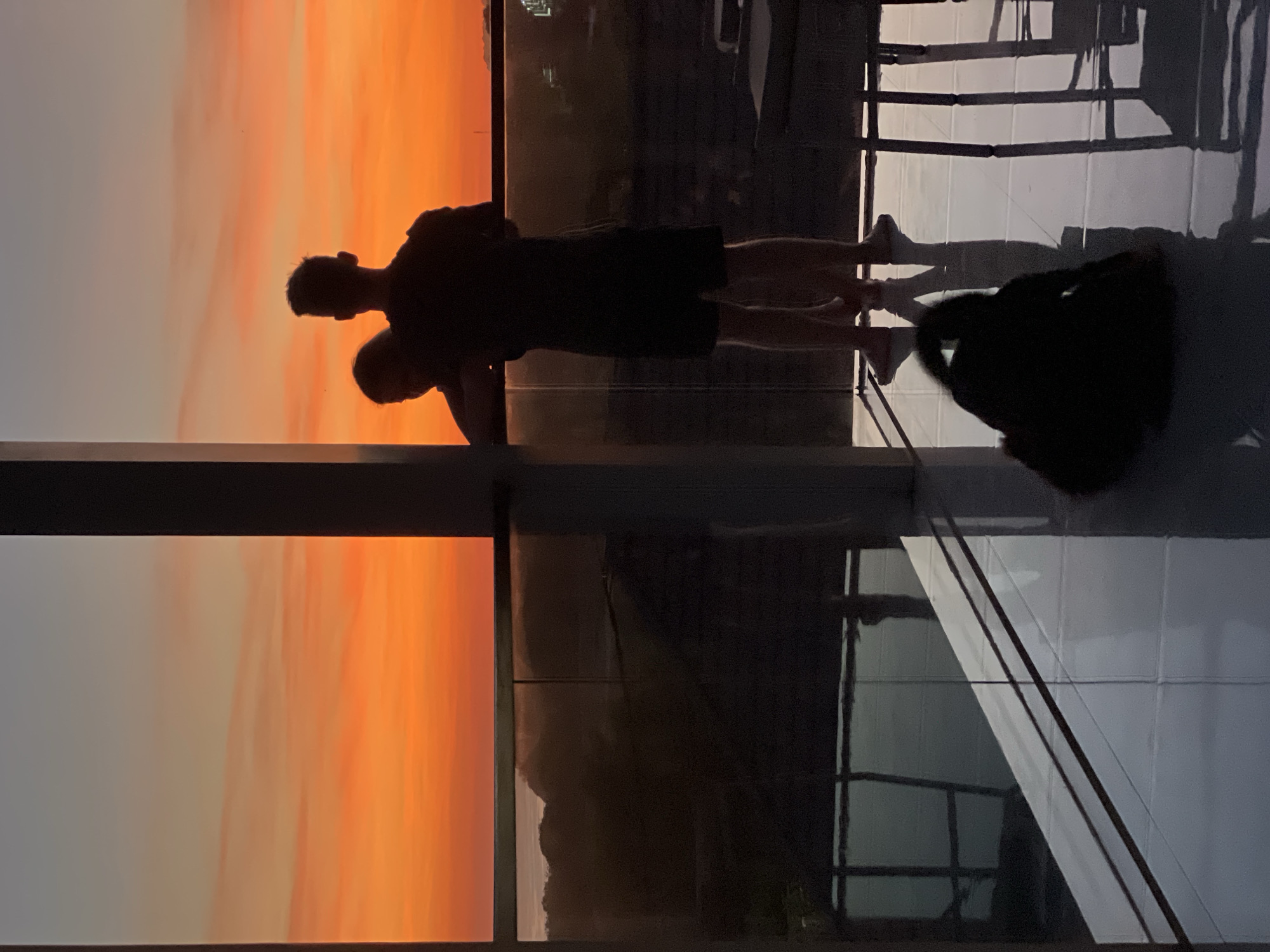 The image shows a silhouetted view of two people on a balcony at sunset. The sunset displays orange and yellow hues. One person appears to have their arm around the other. To the right, there is a black bag. The balcony railing and tiled floor are visible. In the background, there's a muted reflection of a landscape and cityscape. The location is an unknown city, and the setting is a balcony.