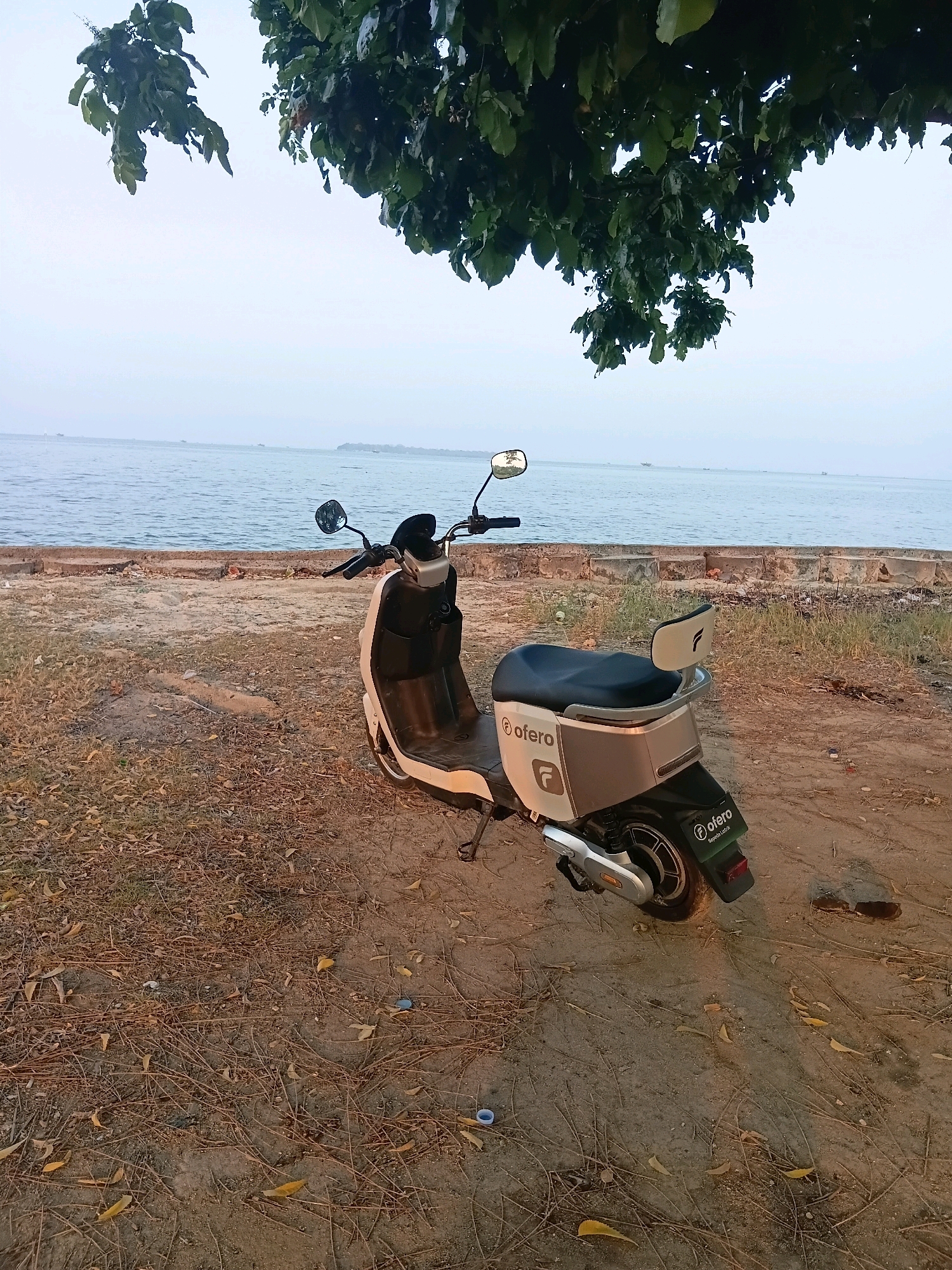 An Ofo electric scooter is parked on a sandy, debris-strewn shore in Cikal, Indonesia. The scooter is white and grey with a black seat and the Ofo logo is visible on its side and rear. Behind the scooter, a calm body of water stretches to the horizon, with a few boats visible in the distance. The foreground is covered in dry leaves and twigs, and an overhanging tree casts shadows from its foliage. The sky is overcast, suggesting a hazy or early morning light.