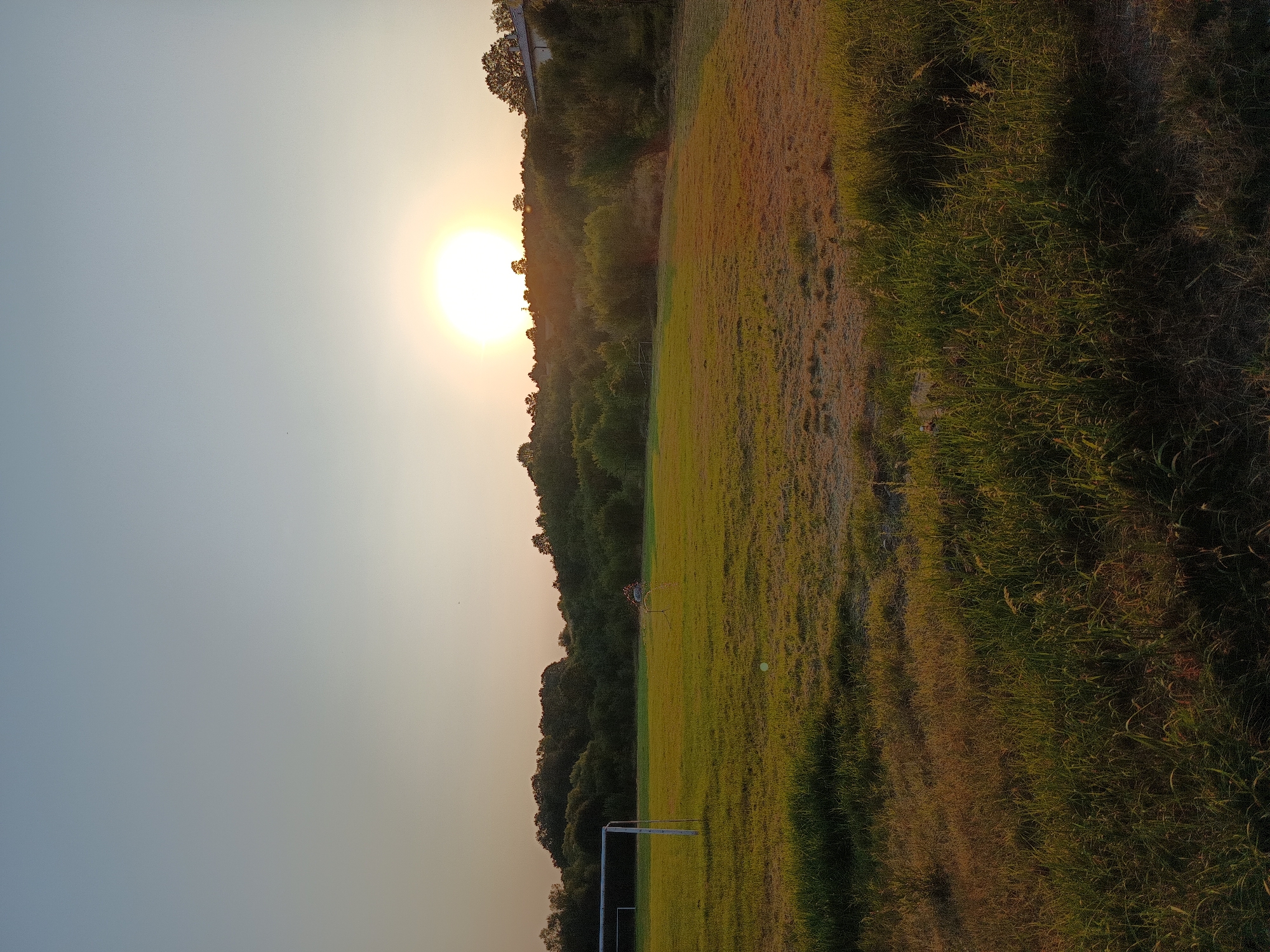 A wide shot captures a rural scene at sunset, likely in Kralev Dol, Bulgaria. The sun, a brilliant orb, sits low in the sky, casting a warm, golden glow over the landscape. The sky transitions from a pale blue at the top to a soft orange near the horizon. In the foreground, a grassy field stretches out, with patches of dry, brown grass interspersed with vibrant green. The grass in the immediate foreground is taller and denser, obscuring the ground beneath.
Further into the field, a white soccer goalpost stands prominently on the left side. In the middle ground, a small, indistinct object, possibly a person or an animal, is situated near another, less visible goalpost or structure. The background is dominated by a dense line of trees, forming a natural border. Beyond the trees, the silhouette of a building with a light-colored roof is visible on the far right. The overall impression is one of tranquility and natural beauty, typical of a rural setting at dusk.