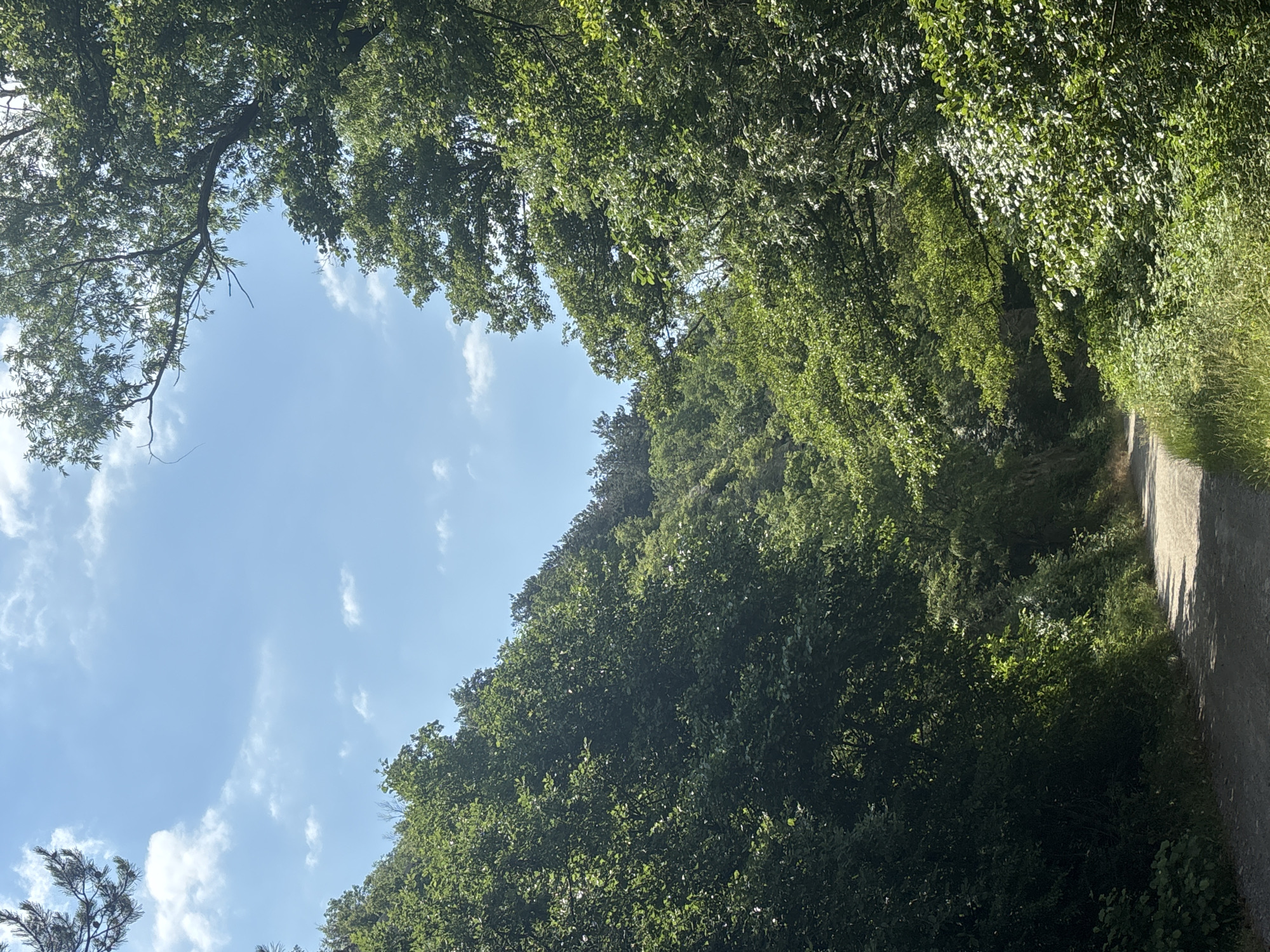 The image depicts a dirt road winding through a lush, tree-lined valley under a bright blue sky with scattered white clouds. Dense green foliage covers the hillsides on either side of the road, with sunlight filtering through the leaves, creating dappled patterns on the ground. The scene is tranquil and natural, suggesting a rural or park-like setting. There are no people or animals visible in the image. This location is identified as being in the city of Gurkovo, Bulgaria, likely a scenic spot within or near the city.