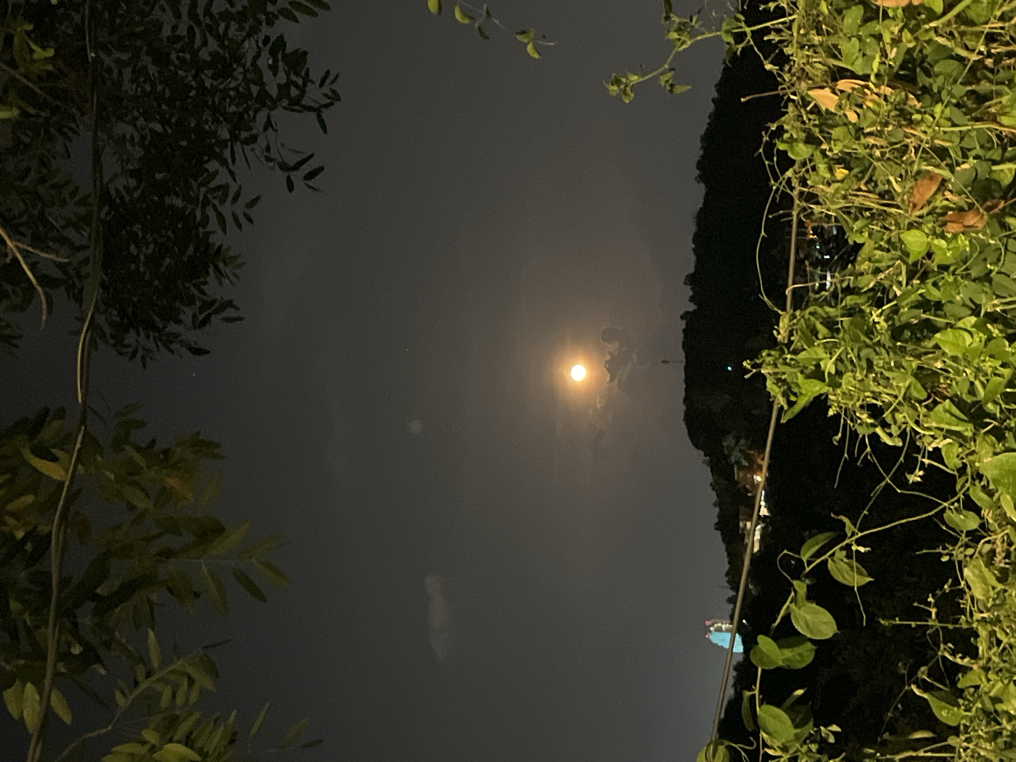 This image shows a night scene with a full moon in the sky, partially obscured by light clouds. The moon is the brightest element in the scene, situated near the center. Dark foliage frames the image on both sides. On the left, there are tree branches with leaves, and on the right, there is a dense growth of green plants. A tall dark silhouette of a cliff or building structure is visible between the sky and the right-hand plants. The sky appears a uniform gray, suggesting an overcast or hazy night. In the distance, near the bottom of the cliff, a few blurry, bright lights are visible, indicating urban development. The location is likely in Bac Nha Trang Ward, Vietnam, given the prompt, but the precise geography is not clear from this image alone. There are no people in this picture.