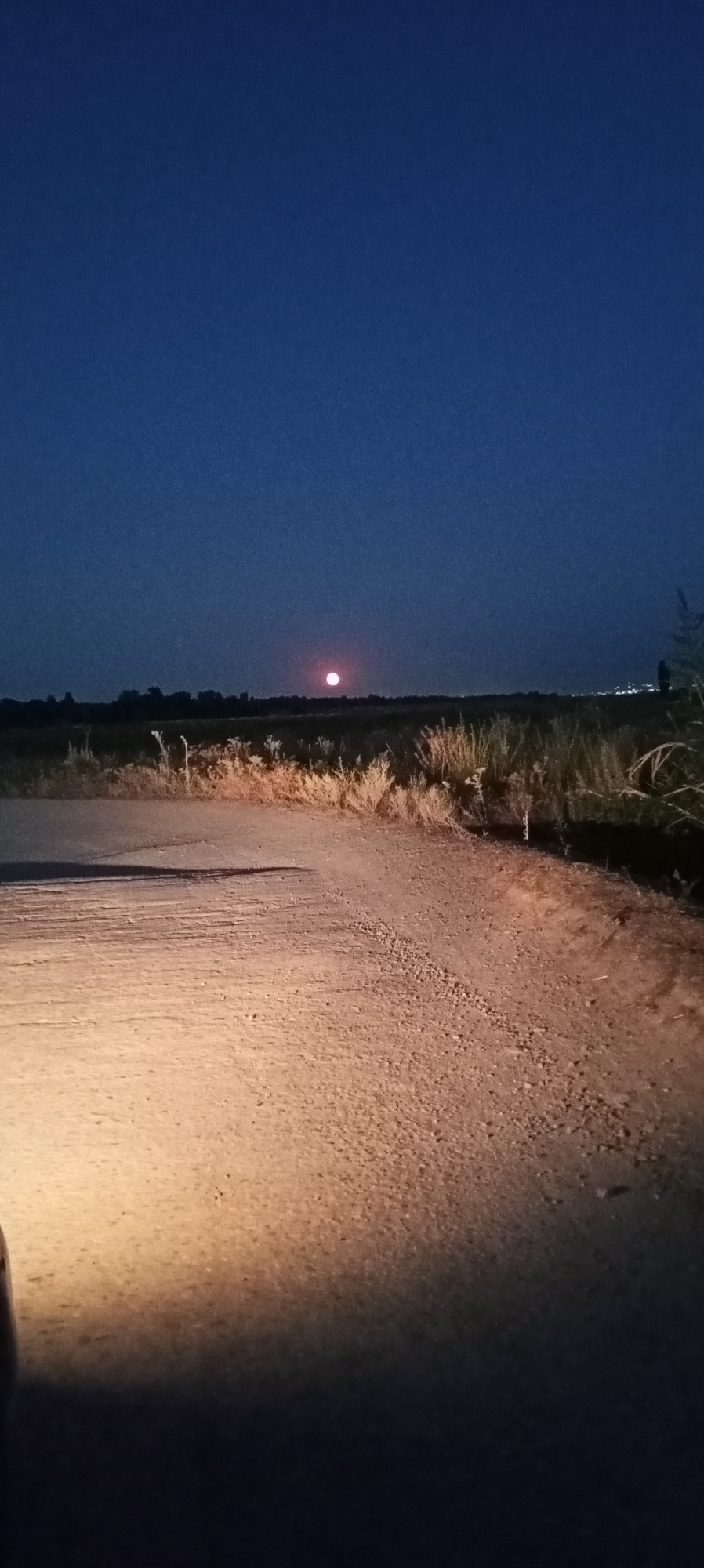 This is a vertical, full-frame photograph taken at night on a dirt road in the vicinity of Маловодное, Kyrgyzstan. A full moon, tinged with red, is visible in the dark blue sky above a distant treeline and fields. The foreground shows the illuminated surface of the dirt road, with its texture and gravelly details clearly visible due to the light source from the lower left corner, likely headlights. The right side of the road transitions to dry grass and vegetation. In the far distance, faint lights suggest a settlement. No people are present in the image.