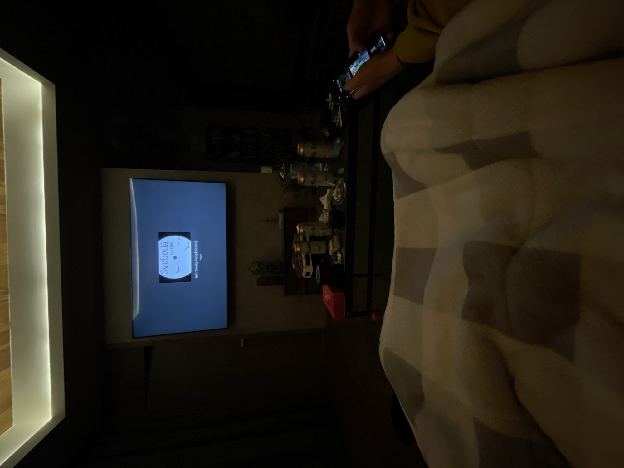 A person is partially visible holding a smartphone, with a view of a television displaying the word "Svoboda" in an otherwise dimly lit room. A couch or chair is also visible, and a shelf or table in the background contains bottles. The location is unable to be determined from the image.