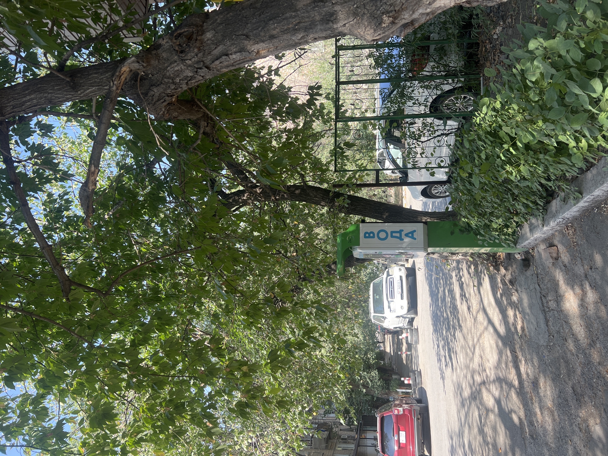 The image depicts a street scene in Bishkek, Kyrgyzstan, with a focus on a water dispenser and surrounding elements. A green water dispenser with blue Cyrillic lettering, "ВОДА" (water), is prominently positioned on the right side of the frame. Adjacent to the dispenser is a green metal fence, behind which a white car is partially visible. Lush green bushes grow along the base of the fence. A large tree with thick foliage and a rough barked trunk shades a significant portion of the scene.
The street itself is paved and appears to be a residential or semi-commercial area. Several cars are parked or driving on the street. On the left, a red SUV is parked facing away from the camera. Further down the street, a white SUV is parked on the right side. The buildings lining the street are visible in the background on the left, appearing to be apartment buildings with balconies. The ground is a mixture of pavement and dirt, with shadows from the trees dappled across the surface. The sky is clear and blue. There are no people clearly visible in the image, and no specific actions are being taken. The overall impression is a sunny day in a tree-lined urban environment.