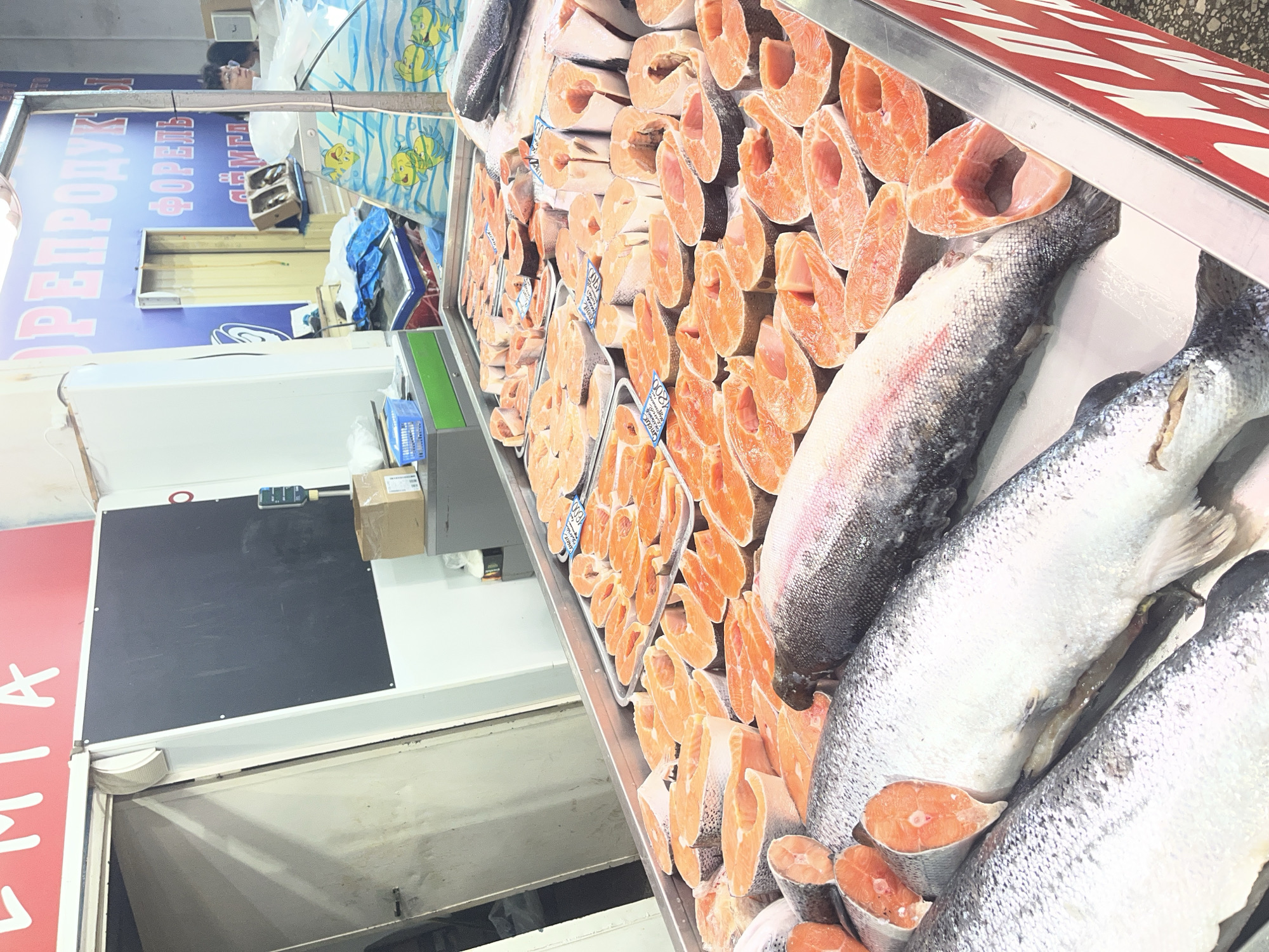 This image captures a fish stall in an indoor market in Krasnodar, Russia. The foreground is dominated by a refrigerated display case showcasing a large quantity of fresh fish. Multiple whole, silvery-skinned fish, consistent with salmon or trout, are laid out, interspersed with numerous uniformly cut, vibrant orange-pink fish steaks. Some steaks are arranged in metal trays, while others lie directly on the display surface, presumably on ice. Small blue and white labels with Cyrillic text and numbers, including "1200" and "280" with "кг" (kilogram), are visible among the fish, indicating pricing. The front edge of the display case features a red panel with white vertical markings.
In the midground, behind the fish display, a light-colored door stands ajar on the left, revealing a dimly lit interior. Adjacent to the door, a rectangular black board is mounted on a white wall. Below the blackboard, a brown cardboard box rests on a gray counter. To the right, another counter with a green top is visible, along with a blue plastic basket. Further back, additional display cases with cartoon yellow fish swimming in blue water patterns are evident. Various items, including blue fabric or tarps and another cardboard box, are stacked in this area.
The background features a prominent blue sign with pink Cyrillic lettering that reads "РЕПРОДУКТЫ" (Products/Produce), "ФОРЕЛЬ" (Trout), and "СЁМГА" (Salmon), reinforcing the stall's focus. A red sign partially visible at the top left also shows Cyrillic characters, "МЯ". To the far right in the background, a person with dark hair and glasses is partially visible, observing the scene or performing an action outside the frame. The overall environment appears to be a brightly lit, functional commercial space typical of a food market. No explicit actions or interactions between individuals are discernible.