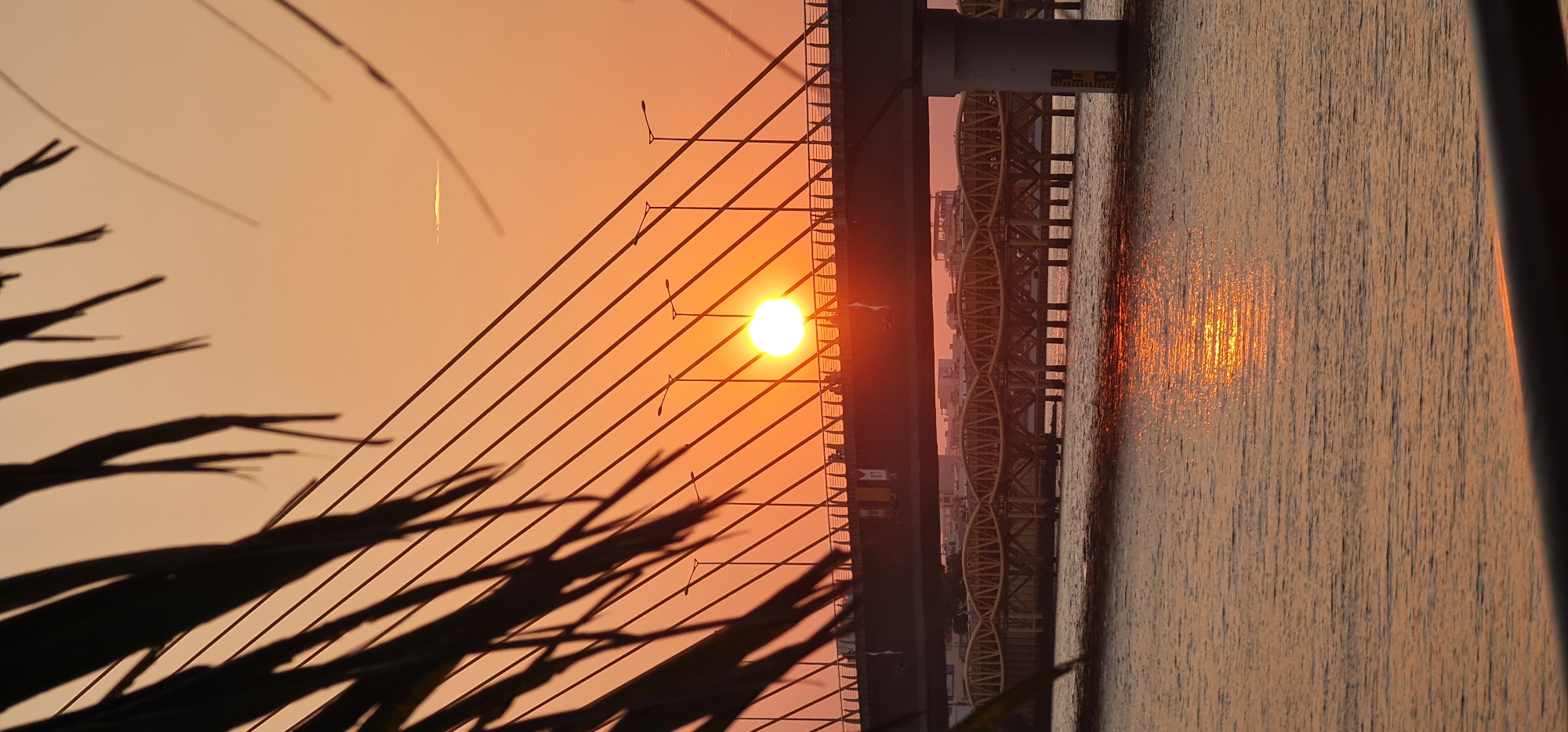 The image presents a stunning view of a sunset or sunrise over a body of water in Đà Nẵng, Vietnam, with prominent bridge structures. The sun, a bright yellow and orange orb, is positioned low in the sky, bathing the entire scene in a warm, golden-orange glow.
In the foreground, the dark, silhouetted fronds of what appear to be palm leaves frame the left side of the image, adding depth. A large, modern cable-stayed bridge spans the frame, its numerous dark cables stretching diagonally across the vibrant sky, creating striking lines. Small streetlights are visible mounted along some of these cables.
Below the main bridge, a wide expanse of water reflects the sun's intense light, creating a shimmering path of bright orange and yellow that stretches from the horizon towards the viewer. In the mid-ground, beneath the deck of the cable-stayed bridge, another bridge with a distinctive yellow, possibly truss-like, structure is visible spanning the water. The faint outlines of buildings and a cityscape can be seen on the far bank in the distance, under the warm, diffused light of the sky.
The overall scene conveys a sense of peaceful grandeur, capturing the natural beauty of the sun's low angle light interacting with the architectural elements of the bridges and the urban landscape. The sky is clear, and the water appears calm. No legible text is visible in the image.
