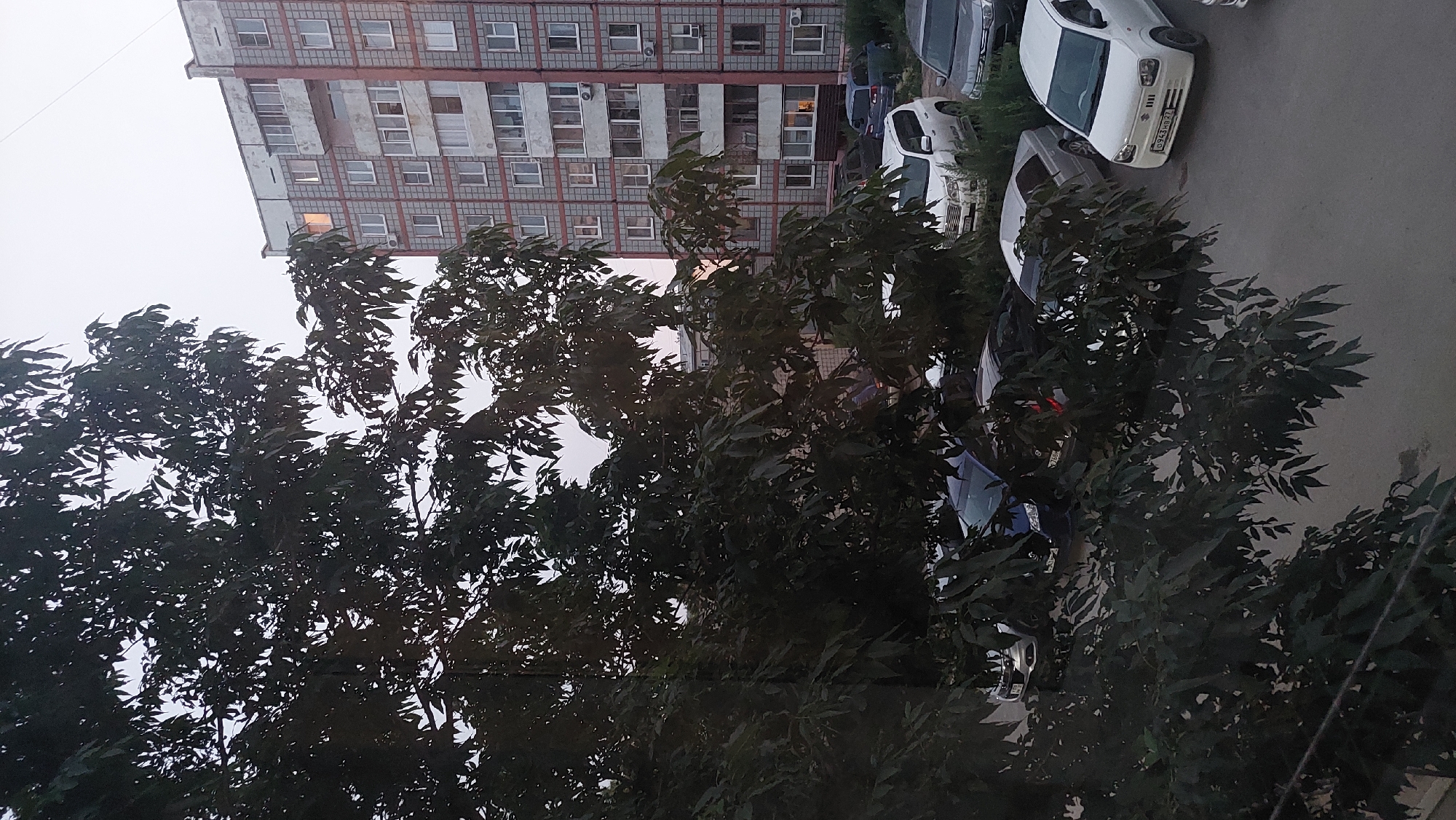 This is a photograph taken in Amursk, Russia, showing a residential building and a parking lot partially obscured by tree branches. The building is a multi-story apartment block with a facade featuring grey square tiles and horizontal bands of red brick or similar material. Windows and balconies are visible on its numerous floors. One window on a lower floor emits a warm, orange light, suggesting occupancy. A few cars are parked on the asphalt lot. Among the visible vehicles are a white SUV, a silver sedan, a dark blue SUV, and a white compact car with a license plate that appears to read "0943HD 27". The foreground is dominated by the dark green foliage of a tree with numerous leaves, creating a shadowed effect that partially obscures the view of the parking lot and the base of the building. The sky is overcast and light, indicating it might be early morning or late evening.