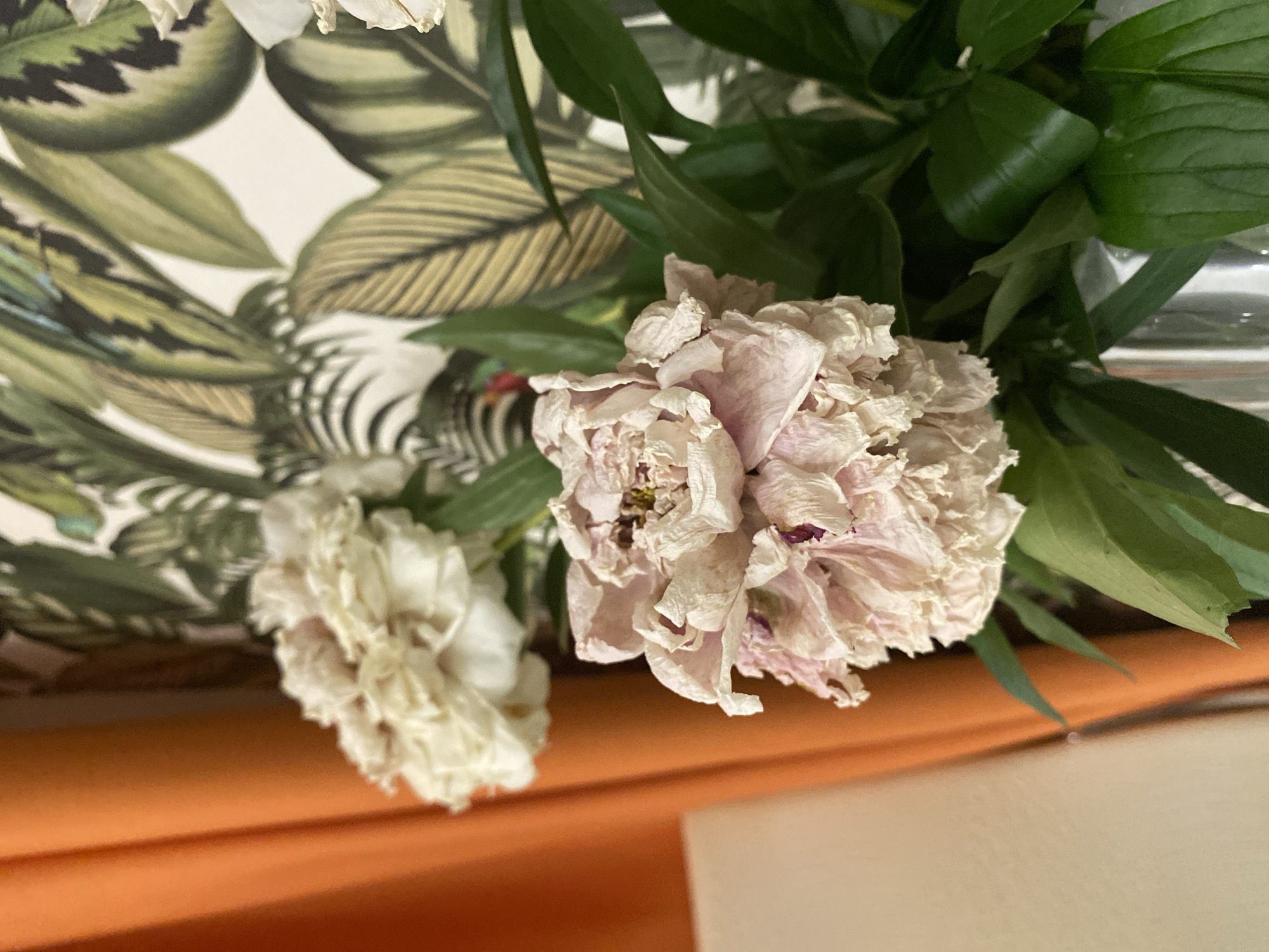 The image shows a close-up of two wilting peonies in a clear vase. The peonies are light pink and white, with delicate, dried petals. They are surrounded by dark green leaves. In the background, there is a wall with a tropical leaf-patterned wallpaper and an orange curtain. There are no people or animals visible in the image. The scene appears to be indoors, possibly in a home or a flower shop. The image does not provide any information about the city of Votkinsk, Russia, or any context related to that location.