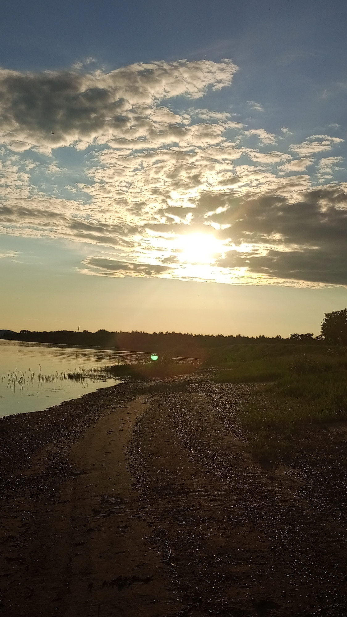 The image depicts a sunset or sunrise over a body of water in Шолья, Russia. The sun, a prominent bright disc, is positioned in the upper right quadrant, partially obscured by altocumulus clouds that display both illuminated edges and darker, denser formations. Sunlight radiates through the clouds, creating visible rays. The sky transitions from a darker blue at the zenith to a lighter, golden hue near the horizon. A small, dark, airborne object is visible in the upper left cloud area.
In the midground, a calm body of water, likely a river or large lake, occupies the left half, reflecting the muted sky colors. The opposite bank is defined by a distant, dark treeline, silhouetted against the horizon. The near shoreline features sparse reeds or tall grasses emerging from the water. A faint, circular green lens flare is present above the water's surface in the lower mid-right.
The foreground is dominated by a dirt and gravel path or track that curves along the water's edge, extending from the lower center towards the middle left. The path exhibits areas of packed earth and loose stones, with evidence of depressions consistent with vehicle tracks. To the immediate right of the path, a small section of dry, sparse grass is visible. The lighting is warm and golden, with the foreground and distant treeline largely in silhouette due to the low sun angle. No human figures or discernible man-made structures are present other than the path itself.