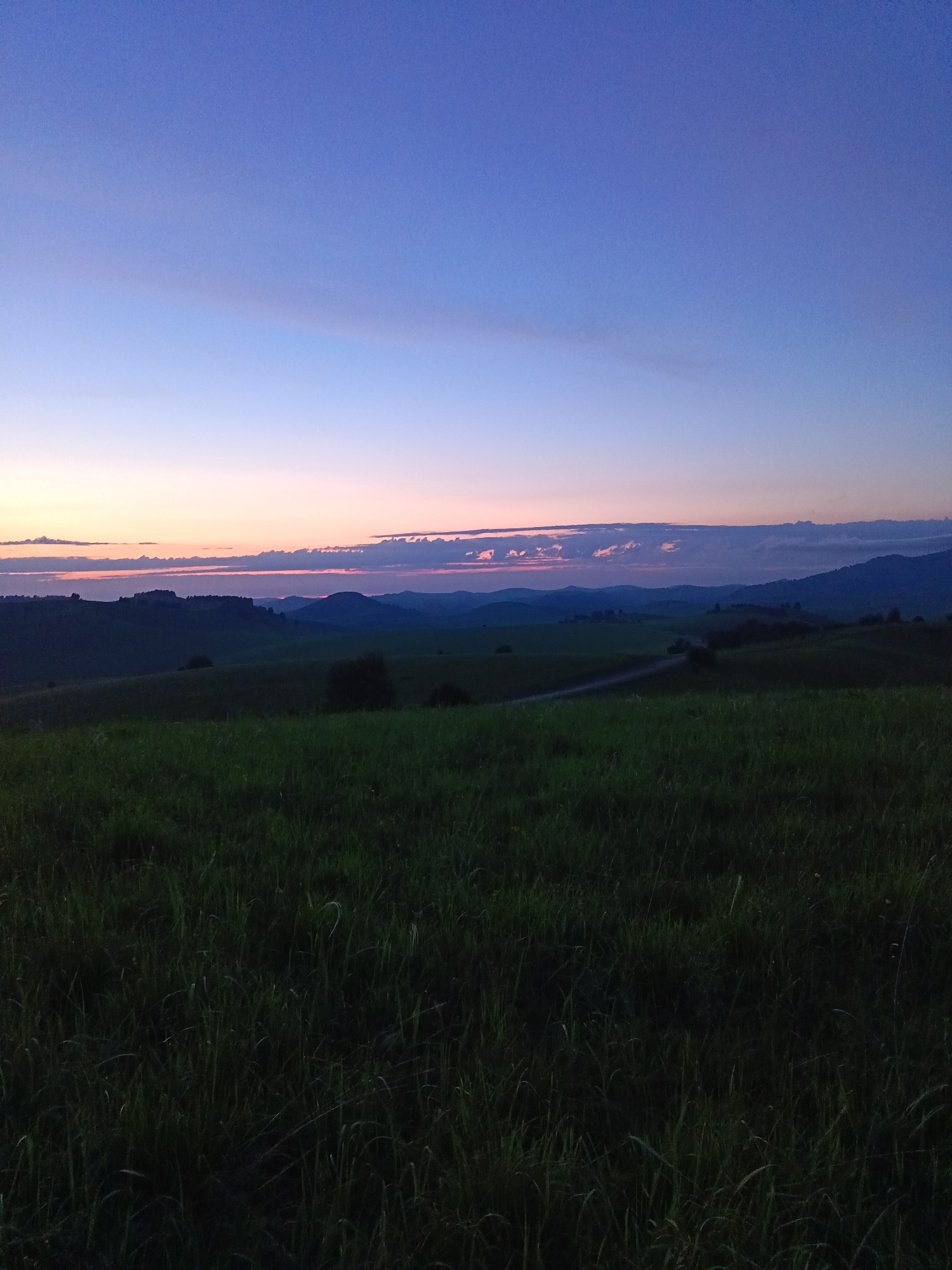 The image depicts a serene landscape at dusk, with a gradient of colors in the sky from deep blue at the top to a soft orange and pink near the horizon. Rolling hills covered in dark green grass dominate the foreground and mid-ground. A winding dirt road is visible on one of the hills, leading into the distance. Silhouetted trees and darker masses of foliage are scattered across the landscape. The scene is devoid of any people or animals, suggesting a quiet, natural environment. The location is the city of Sadovyi, Russia.