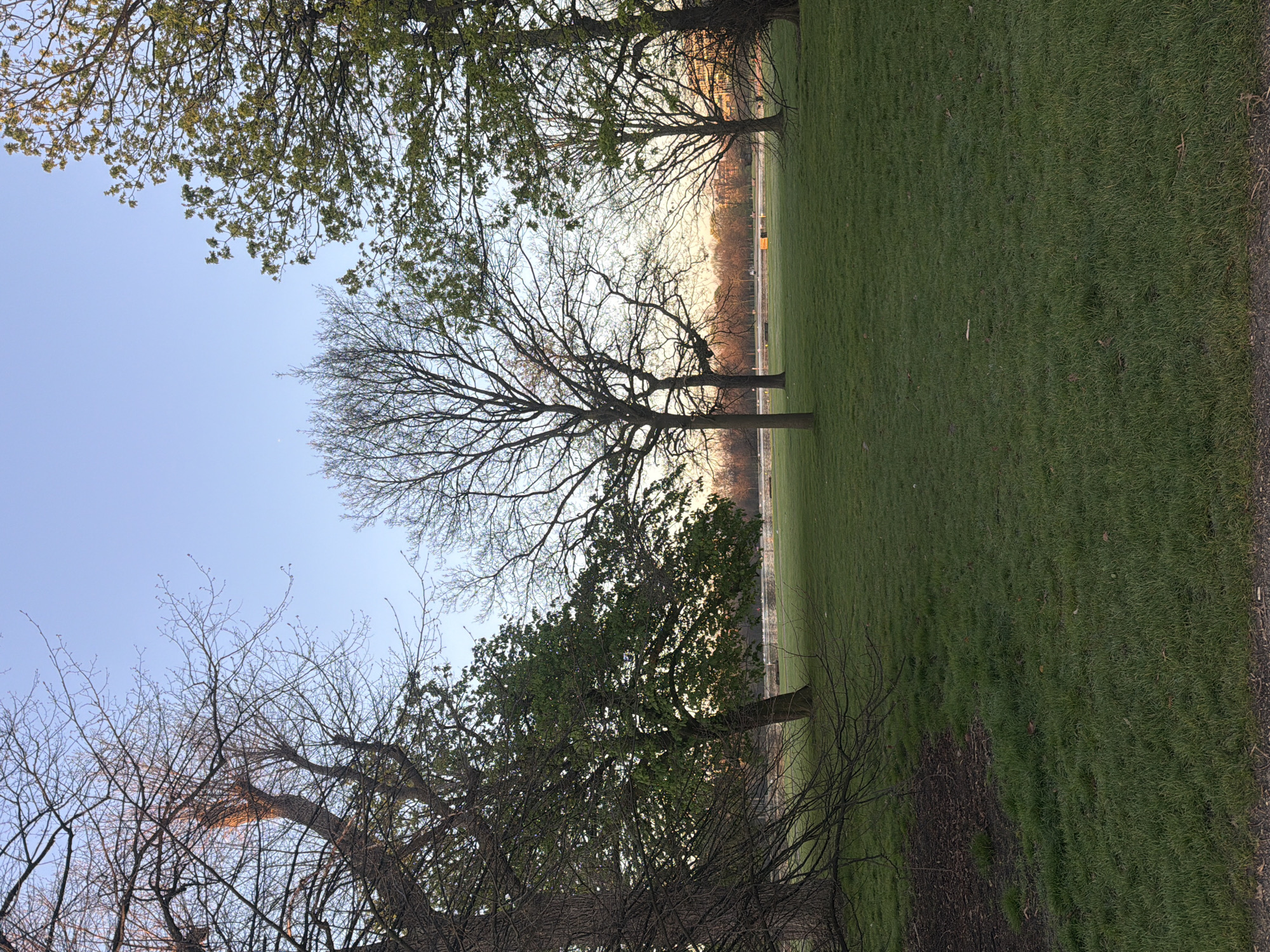 The image shows a grassy field in a park at dawn or dusk. Several trees are visible, some with leaves and some without. In the background is a line of trees and what appears to be a building or structure in the distance. The sky is a pale blue, suggesting either early morning or late evening. The location is likely a park in London, United Kingdom, given the vegetation and general urban landscape. There are no people visible in the frame.