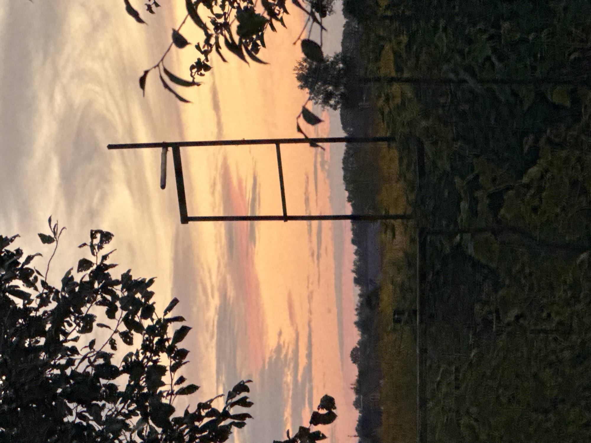 A dark, silhouetted structure resembling a ladder or a frame stands in the center of the image against a colorful sunset sky. The sky is a blend of orange, pink, and light grey hues, with wispy clouds. In the foreground and framing the scene, dark, leafy branches of trees are visible from the left and right sides, partially obscuring the view. The lower portion of the image shows dark, out-of-focus vegetation and a faint hint of a fence or railing. In the middle ground, there is a landscape with trees and what appears to be a building in the distance, all rendered in dark, muted tones. The overall impression is a natural scene at dusk.