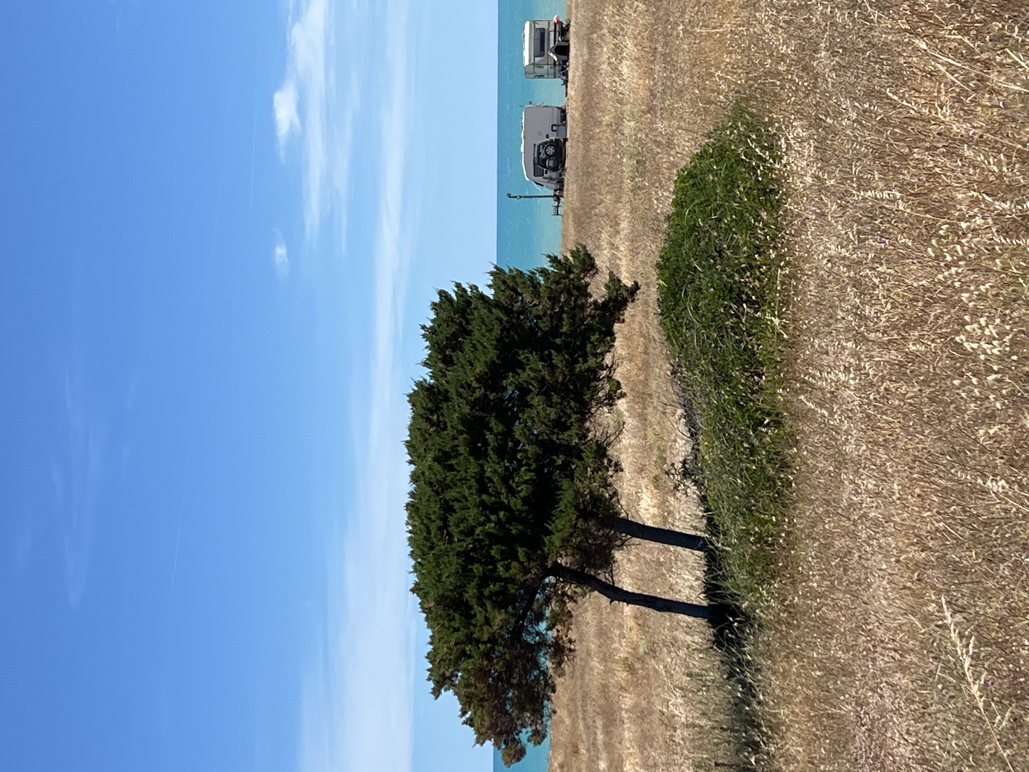 The image depicts a coastal landscape with dry, grassy terrain and two evergreen trees in the foreground. In the mid-ground, two caravans and a vehicle are parked near the sea. The sea is a vivid turquoise color, and the sky is clear blue with a few wispy clouds. The overall scene suggests a dry, sunny environment, likely in a coastal region. The location is identified as Peschici, Italy.