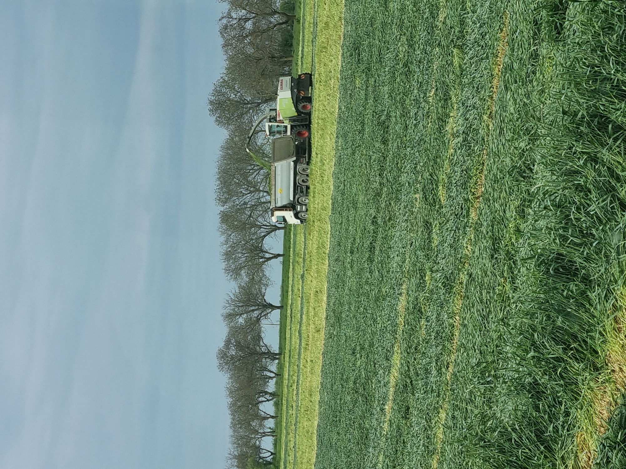 A landscape photo shows a green field. A combine harvester with an attached truck is parked on the far side of the field, to the left of a line of trees. The sky is pale blue. The location is Ovcharovo, Bulgaria.