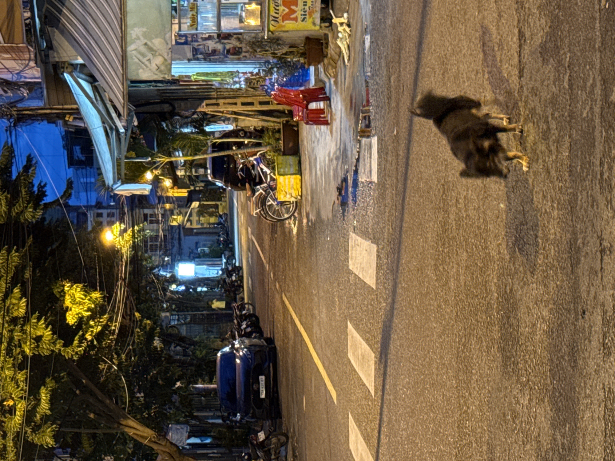 A black and tan dog is walking on a wet street in Nha Trang, Vietnam at night. The street is lined with buildings and trees. The dog is in the foreground of the image, and the street is illuminated by streetlights. There are several parked motorcycles and a car on the side of the road. The dog appears to be alone.