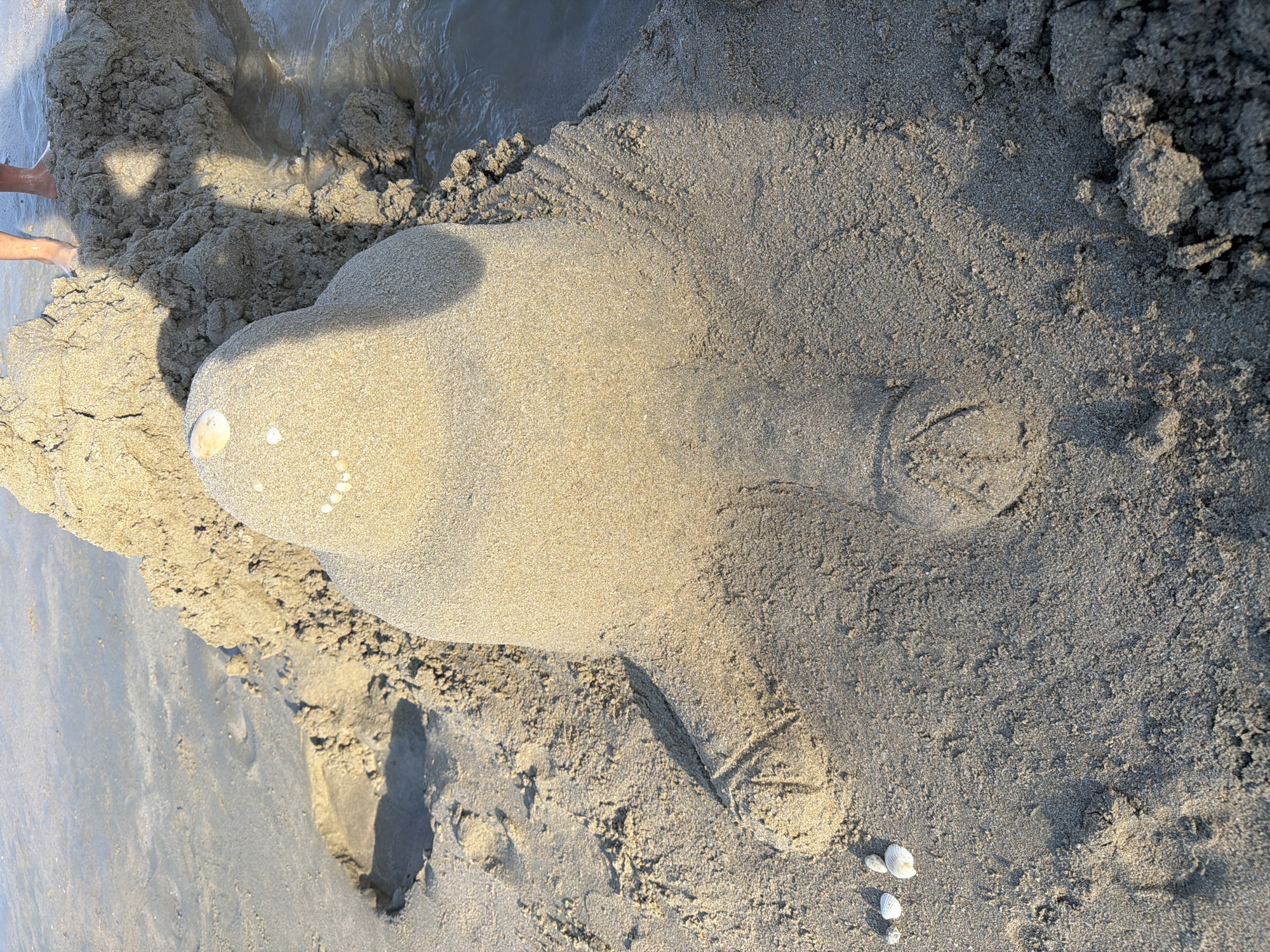 The image depicts a sand sculpture of a sea turtle on a beach. The sculpture is oriented horizontally in the frame. The turtle's body is smooth, with shells used as eyes. The flippers and tail are defined, and there are shell decorations placed around the turtle's head. The background is a mix of wet and dry sand, with water visible in the upper part of the image. The location is Cam Lam, Vietnam. A person's foot is visible in the upper left corner.