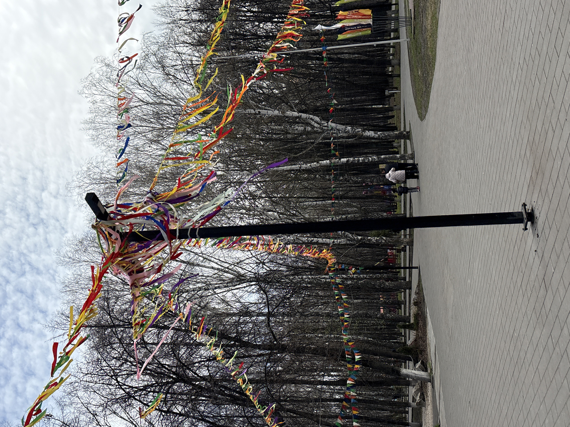 The image captures a street scene in Ulyanovsk, Russia. A black metal pole stands prominently in the foreground, adorned with numerous colorful ribbons tied around its top, creating a celebratory or decorative effect. The pole is situated adjacent to a paved walkway made of gray rectangular stones.
In the background, a dense line of bare trees extends along the walkway, their branches reaching towards the sky. Strings of colorful pennant flags are hung between the trees, adding to the festive atmosphere. Further back, indistinct shapes and colors suggest buildings or structures, blurred by distance.
A few people can be seen walking along the paved walkway between the line of trees. The scene has a somewhat overcast sky.