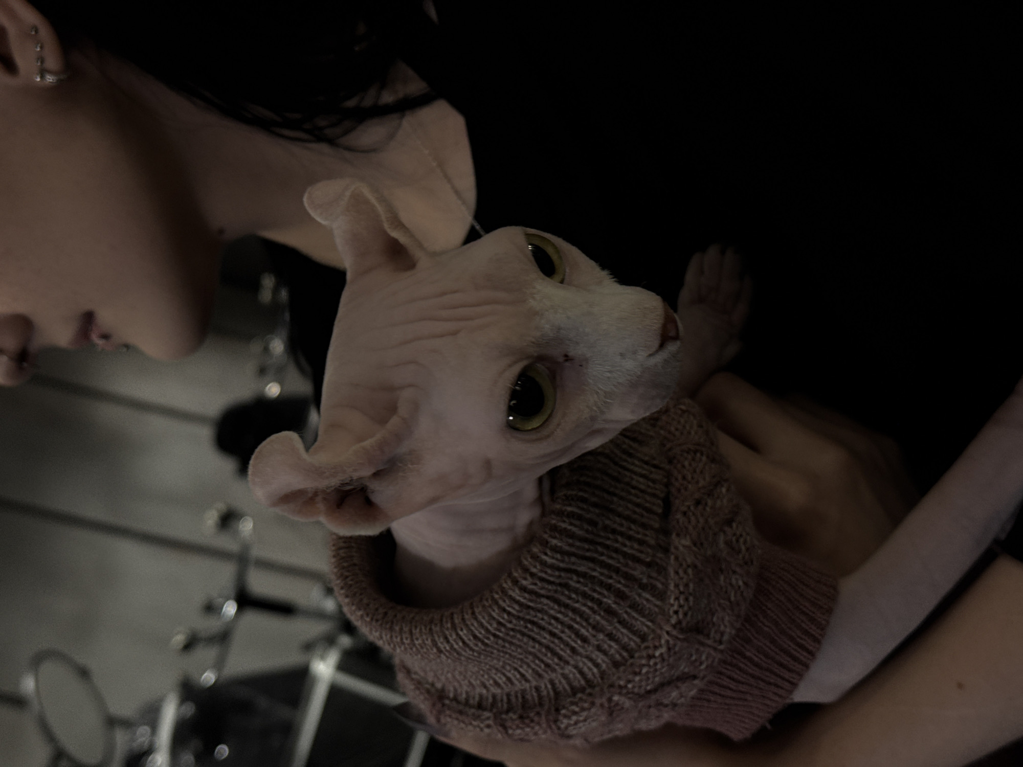 A hairless cat wearing a brown sweater is being held by a person with dark hair and multiple ear piercings. The background appears to be dark and somewhat industrial, with what looks like a microphone stand partially visible. However, there is no way to determine if the location is in Moscow, Russia, or anywhere else.