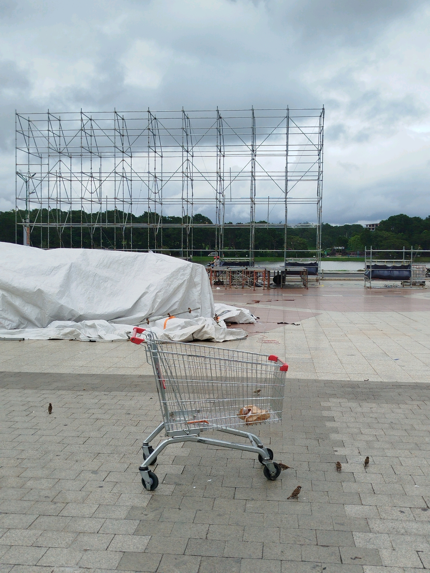 The image depicts an outdoor scene in Da Lat, Vietnam, characterized by a cloudy, overcast sky. In the foreground, a metal shopping cart with red handles sits on a paved area composed of large, rectangular tiles. Several small birds are scattered around the cart, with some appearing to peck at something within or near the cart. Inside the cart, a brown paper bag is visible.
Behind the shopping cart, a large, white tarp is draped over an unseen object, creating a bulky, organic shape. Further in the background, a complex scaffolding structure, possibly for a stage or display, dominates the upper portion of the frame. Beyond the scaffolding, a line of dense green trees forms the horizon, with a body of water and buildings visible in the distance. The overall environment suggests a public space undergoing construction or preparation for an event. The paving stones are wet, indicating recent rain.