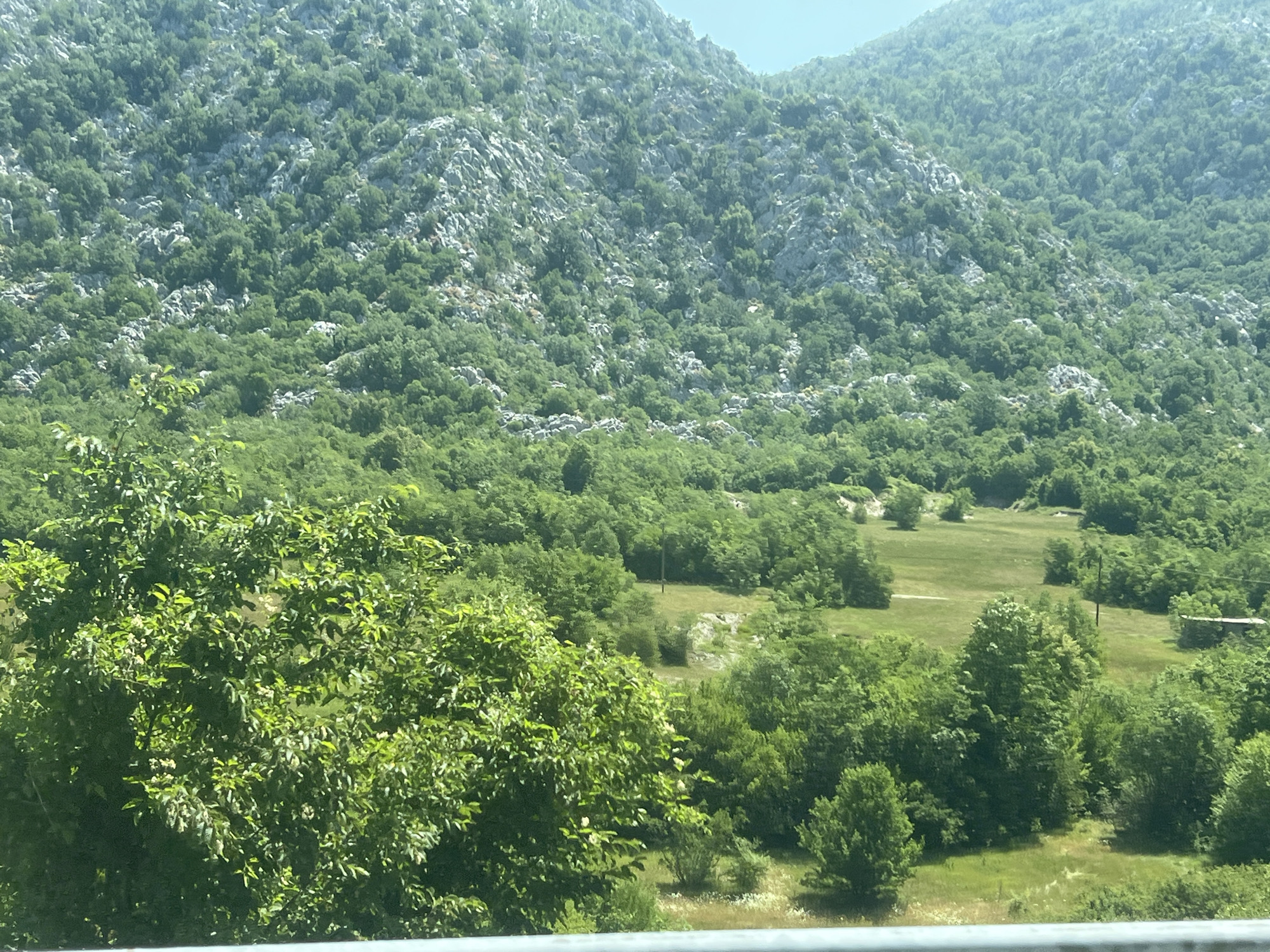 This is a wide-angle photograph of a mountainous landscape in Dragalj, Montenegro, dominated by lush green vegetation. The foreground features a large, leafy tree in sharp focus. Beyond this tree, the terrain slopes upwards, covered in a dense forest of various shades of green. Interspersed with the trees are patches of light-colored rock, particularly visible on the higher slopes. The background reveals more distant, hazy mountains, suggesting a vast and expansive natural environment. A small, cleared grassy area with a few scattered trees and a distant, small rustic structure is visible in the mid-ground. The sky is clear and light blue. The image appears to have been taken from a slightly elevated position.