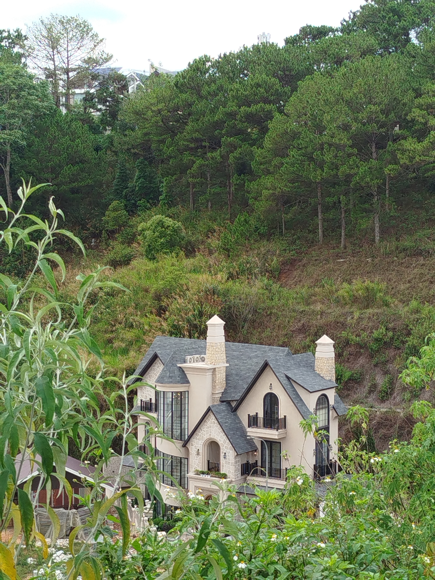 The photograph depicts a two-story house nestled in a lush, hilly environment. The house has a light beige facade with stone accents, a gray roof, and prominent chimneys. The design includes arched windows and small balconies with black railings. The house is surrounded by dense vegetation, including trees and shrubs, which partially obscure the view. In the background, a dense forest covers the hillside, and a glimpse of another building can be seen further up the slope. Based on the architectural style and landscape, the location is likely Da Lat, Vietnam. There are no people visible in the image.