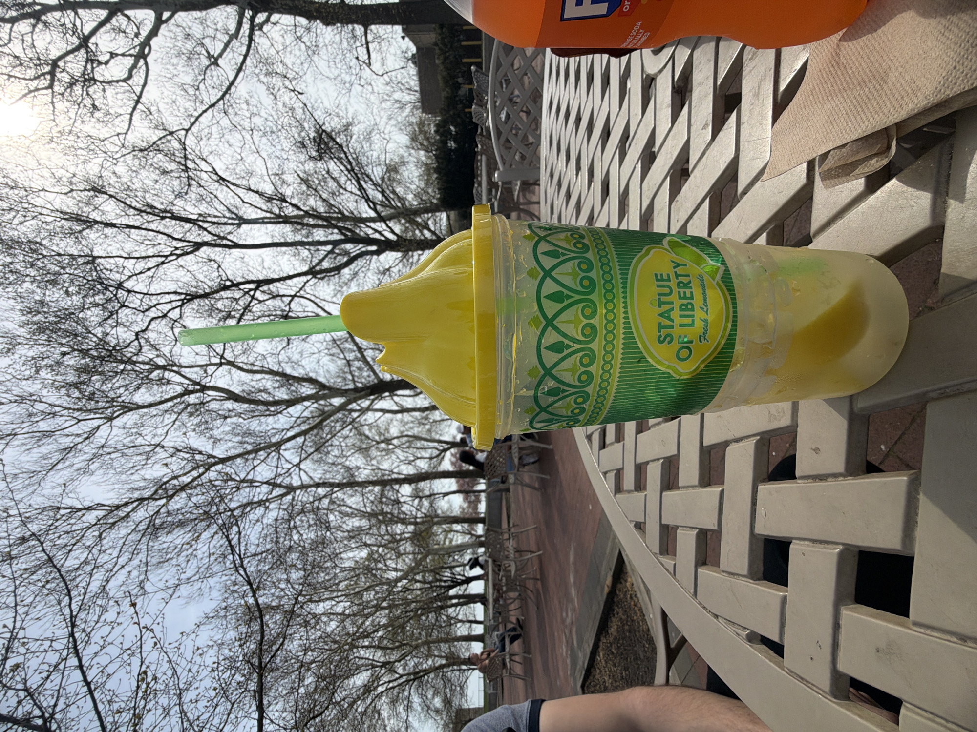 The image, viewed upright, features a bright yellow frozen drink in a clear plastic cup with a green straw, resting on a light-colored, woven-patterned outdoor table. To the right, a partially visible orange soda bottle (likely Fanta, with visible text "or") and a tan napkin are also on the table.
The cup has a distinctive green and white label that reads "STATUE OF LIBERTY" and "Fresh Lemonade" in prominent lettering. Part of a person's arm or leg is visible in the bottom right corner, suggesting the viewer is seated at the table.
The background shows a vast expanse of bare tree branches silhouetted against a bright, hazy sky, indicating either late winter or early spring. The sun shines brightly through the branches on the left. In the middle distance, a row of outdoor tables and chairs is visible, occupied by several indistinct figures, suggesting a public eating or gathering area.
The scene depicts a casual, daytime moment outdoors, likely at a park or a commercial establishment in New York, given the Statue of Liberty branding on the beverage. The bright sunlight suggests pleasant weather, even with the leafless trees.