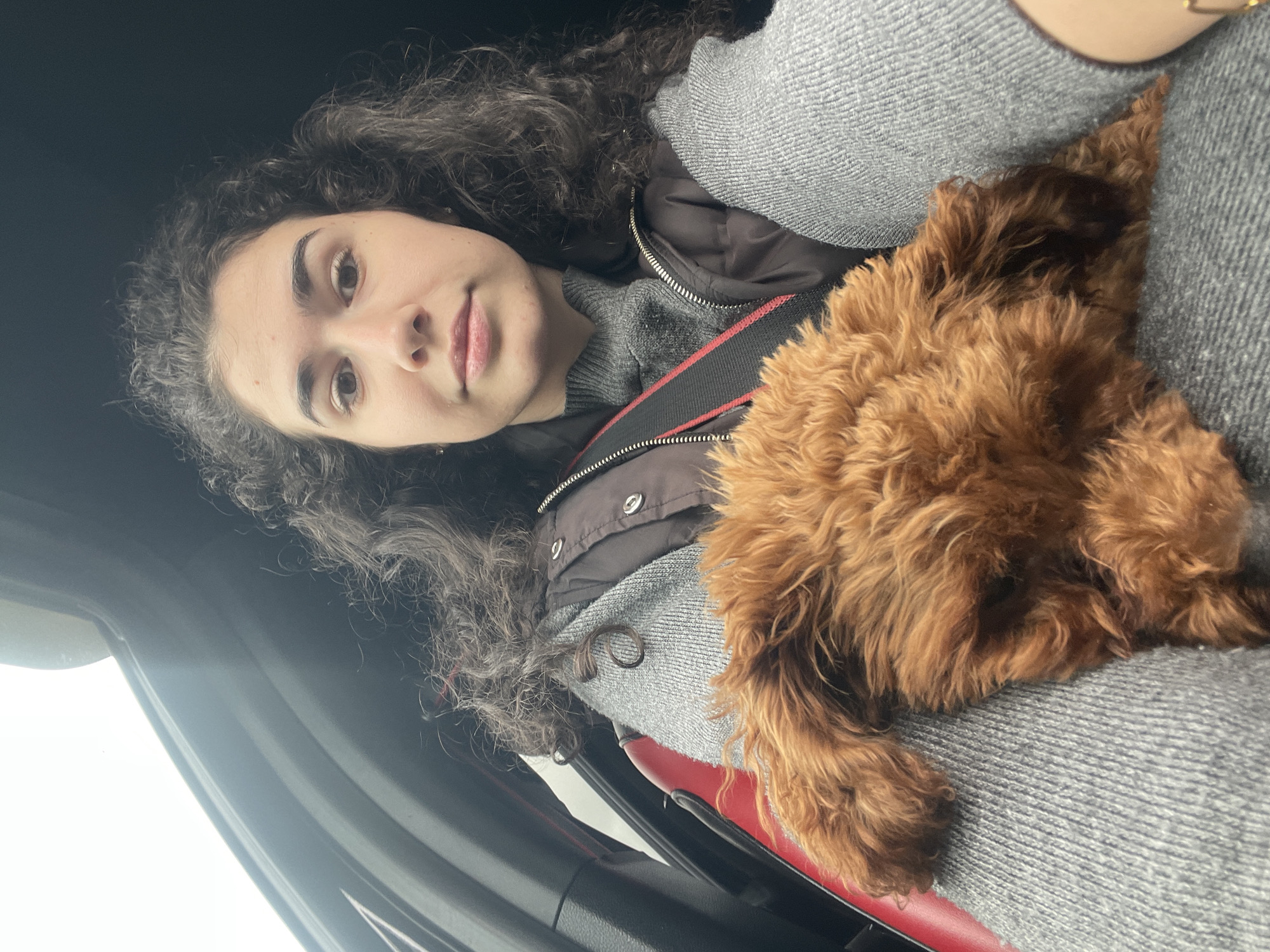 A young woman with dark curly hair and light skin is sitting in a car. She wears a grey sweater with a black vest. A brown, fluffy puppy rests on her lap. She is wearing a seatbelt. The interior of the car is visible, with black and red elements. The location is likely inside a vehicle, although the precise location in Sofia, Bulgaria, cannot be determined from the image.
