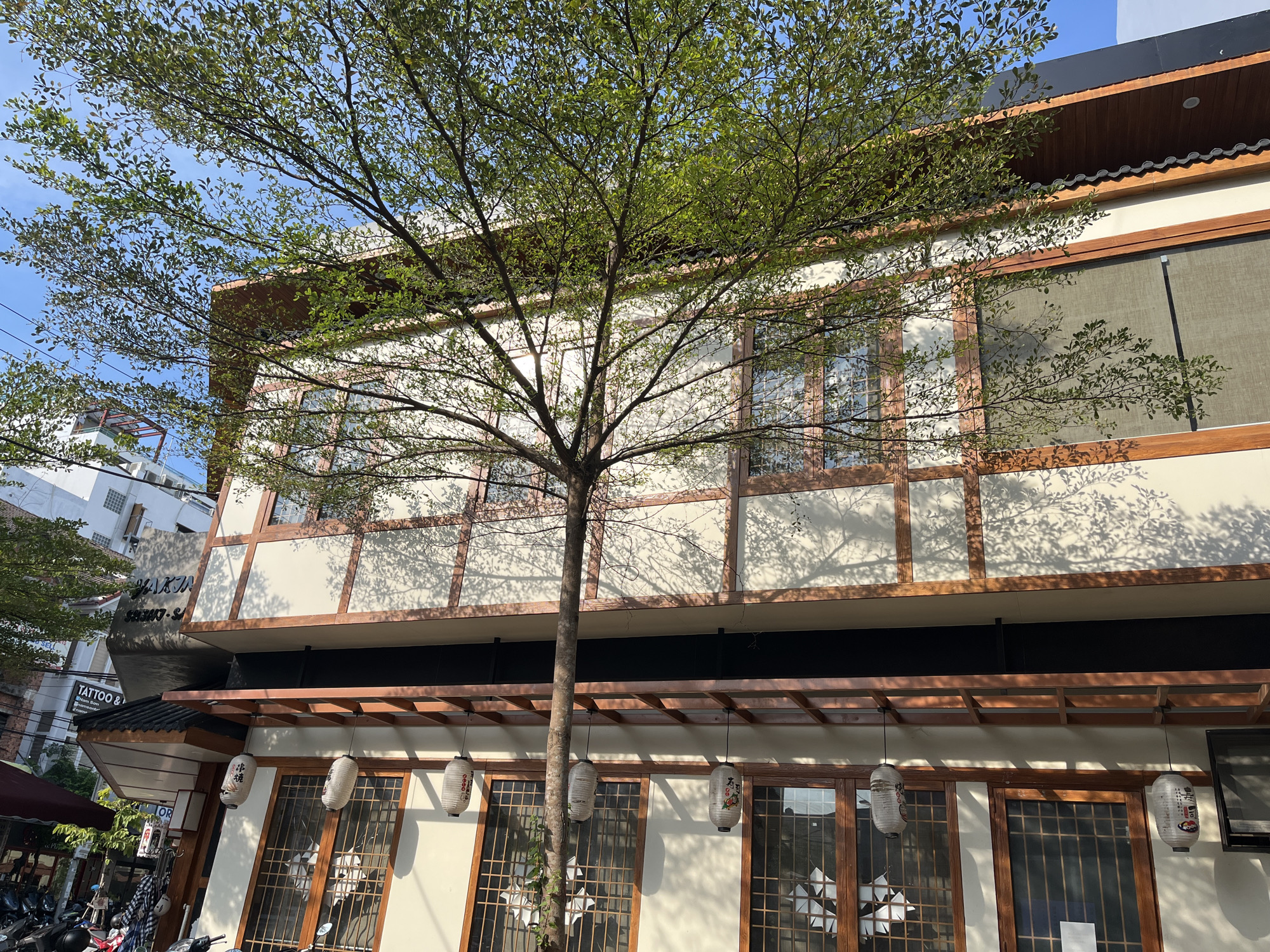 The image displays a three-story building with a distinct Japanese architectural style, featuring a prominent, leafy tree centered in the foreground. The building's facade is cream-colored, accentuated by dark brown wooden beams and window frames. The roof features dark tiles, and several white, cylindrical lanterns with Japanese script hang above the ground-floor windows.
Bright, natural sunlight illuminates the scene, casting intricate shadows of the tree's branches and leaves onto the building's walls, indicating a clear, sunny day, likely during the morning or late afternoon. The sky above is a vibrant blue with minimal clouds.
In the background to the left, other urban buildings are visible, along with power lines. One building shows partial signage, including "TATTOO &..." and "YAKIN SHOKU-S...", suggesting commercial establishments like a tattoo parlor and potentially a Japanese restaurant (Yakiniku). Parked motorbikes and scooters are visible at the bottom left, characteristic of street scenes in Vietnamese cities. The setting conveys a calm, urban atmosphere. No people are visible in the frame.