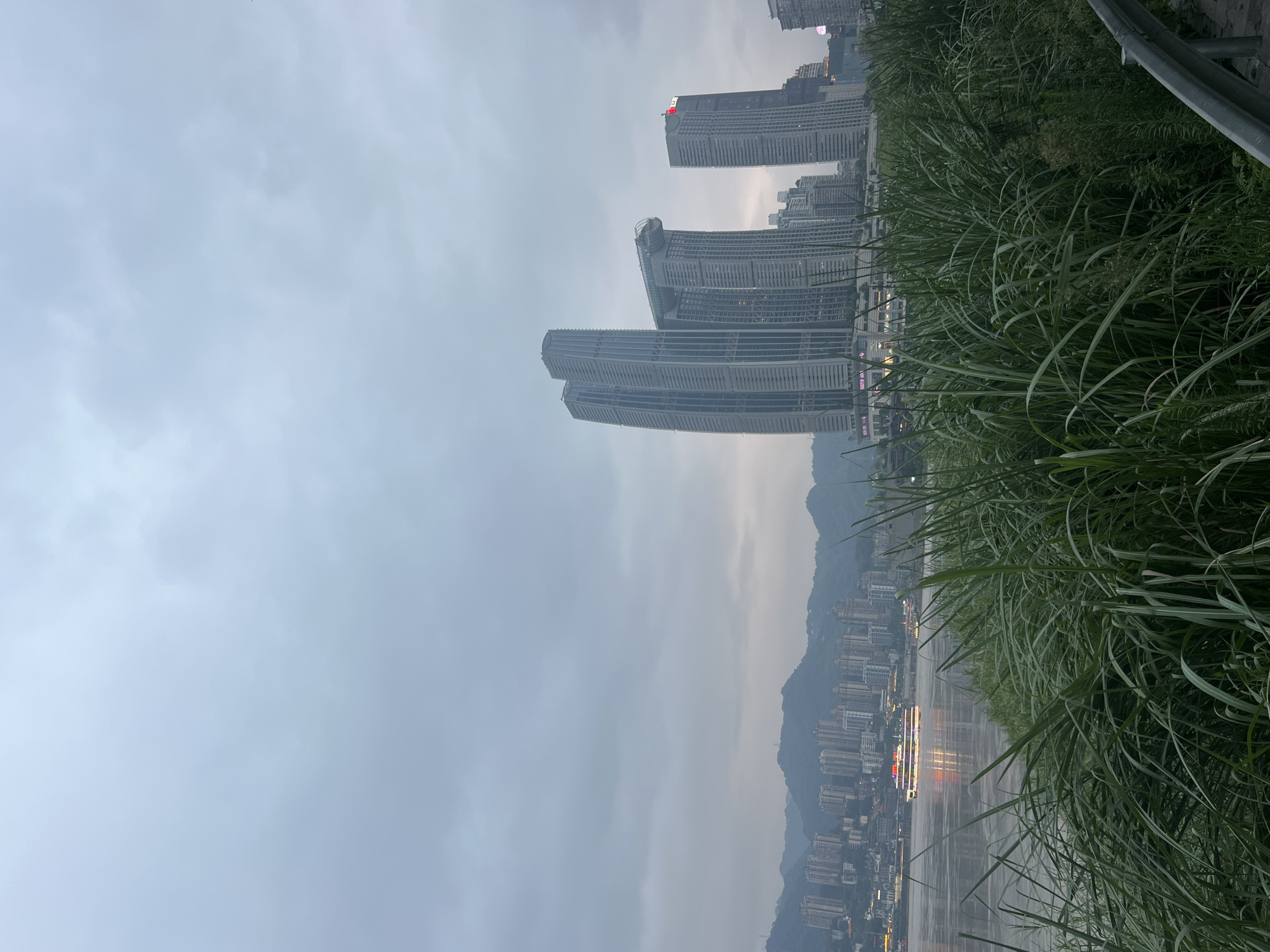 The image captures a cityscape on a cloudy day, likely at dusk or dawn, with the Nan'an District in Chongqing, China, visible across a wide river. In the foreground, lush green reeds and tall grasses dominate the lower half of the frame, obscuring the ground and suggesting a waterside embankment. To the left, the calm, reflective surface of the river stretches towards the city.
Across the river, a dense urban landscape unfolds. A cluster of modern, high-rise buildings, some with distinctive architectural features like interconnected sections or unique geometric shapes, rises against a backdrop of rolling, mist-shrouded hills. The buildings are predominantly made of glass and steel, reflecting the muted light of the sky. A large passenger boat with illuminated windows is visible on the river, its lights creating reflections on the water's surface. Further to the left, a more distant cityscape of numerous buildings cascades down the hillsides.
The overall mood is serene and somewhat subdued due to the overcast sky. The lighting is diffused, and the colors are muted, creating a tranquil atmosphere. No people are clearly discernible in the image. The scene appears to be a general view of a riverfront in an urban area with significant modern development.