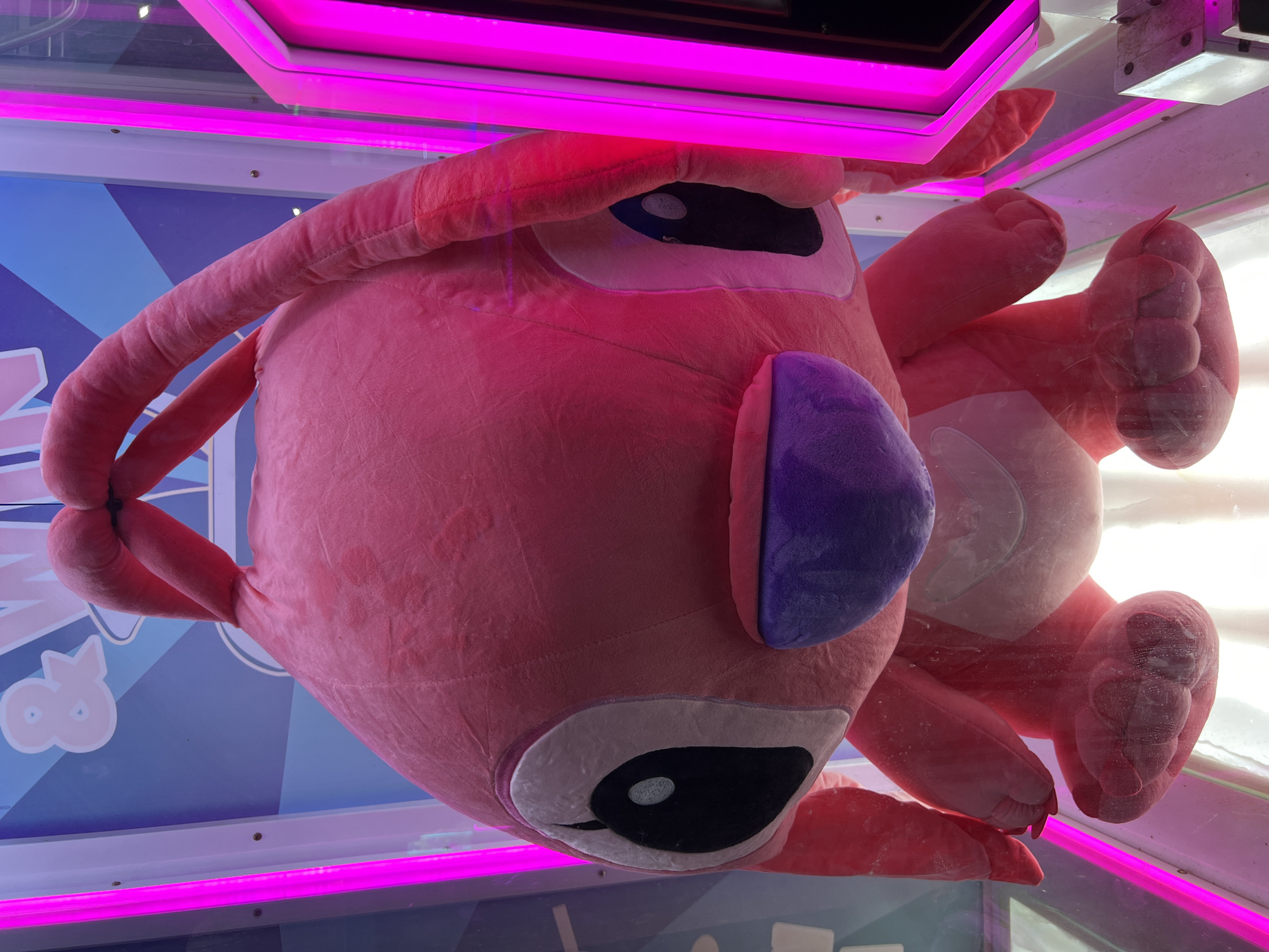 A large, pink plush toy resembling a cartoon character hangs upside down in what appears to be a claw machine. The toy has large black eyes with white pupils, a purple muzzle, and long, floppy ears that are held together at the tips. It is lit by bright pink neon lights that frame the claw machine. The background is a blue and white pattern with an ampersand symbol. The toy is dusty, suggesting it may have been in the machine for some time. The scene is set within a brightly lit environment, likely an arcade or entertainment venue.