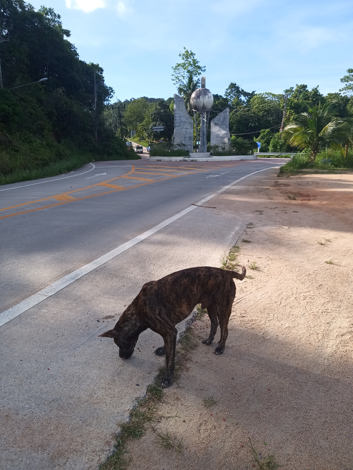 A brindle dog stands at the roadside in Baan Thong Nang, Thailand. The dog is sniffing the pavement, positioned between the asphalt road and the sandy shoulder. The road, marked with white edge lines and yellow directional markings, curves ahead, leading to a roundabout with a monument consisting of a concrete sphere supported by structures. Trees and dense foliage line the roadside, extending towards the background. The sky is partly cloudy.
