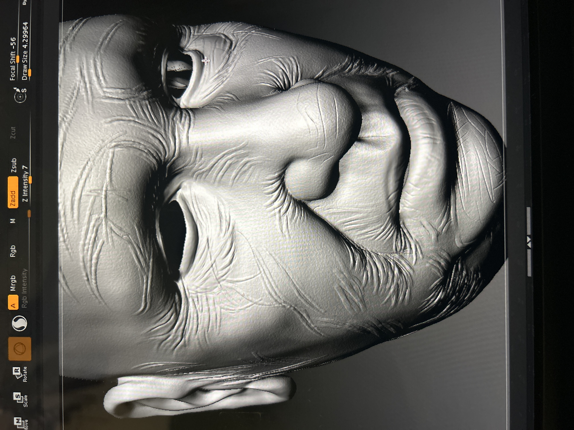 The image shows a close-up of a digital sculpture of a human face, likely created in ZBrush or a similar 3D sculpting program. The face appears to be stylized and highly detailed, featuring exaggerated wrinkles and folds in the skin. The lighting suggests a single light source, casting shadows that accentuate the facial features and the depth of the sculpted details. The interface of the sculpting software is visible on the left side of the image, showing parameters like "Focal Shift," "Draw Size," "Z Intensity," "Zadd," "Zsub," and icons for Rotate and Scale. The color scheme is grayscale, typical for sculpting interfaces, focusing on the form and details of the model. There is no information in the image to suggest it is located in Cape Coral, United States of America.