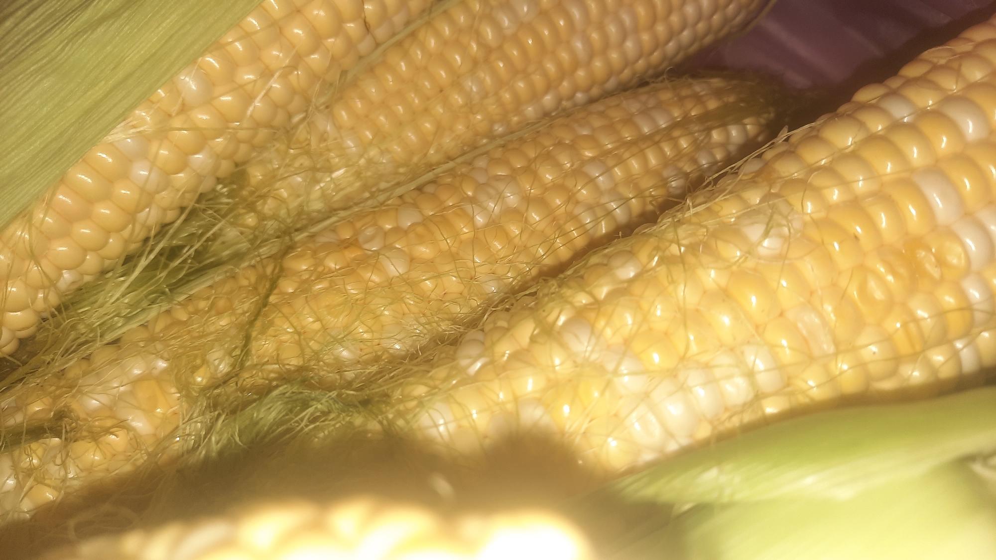 The image displays a close-up view of several ears of corn. The corn kernels are a mix of yellow and white, indicating a bi-color variety. The husks are partially visible, appearing as green, leafy sheaths. Fine, stringy silks are present, some of which are dry and wispy, while others appear more moist. The lighting creates a warm, slightly hazy effect, highlighting the glossy texture of the kernels. The background is out of focus and appears to be a dark, possibly textured surface, suggesting the corn is in a basket or on a counter. The image does not provide any information about the location of Шклоў, Belarus.
