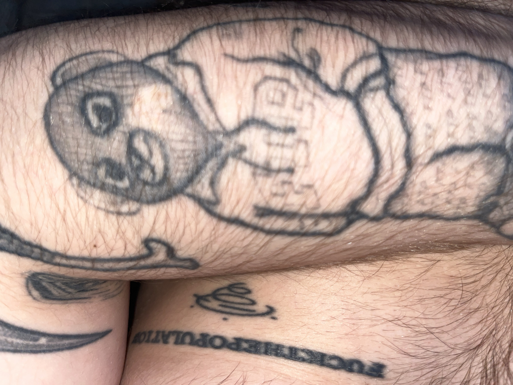 A close-up, overhead shot shows tattoos on a person's legs. A large tattoo on the right leg depicts a cartoon bear wearing a hoodie. The bear's face is covered by a dark mask, and the hoodie has lettering that is difficult to decipher. On the left leg, a vertical tattoo reads "FUCK THE POPULATION." To the right of this text is a smaller, abstract black tattoo that appears to be a signature or symbol. The skin is lightly tanned and covered in fine, dark hairs. The background is dark and out of focus.