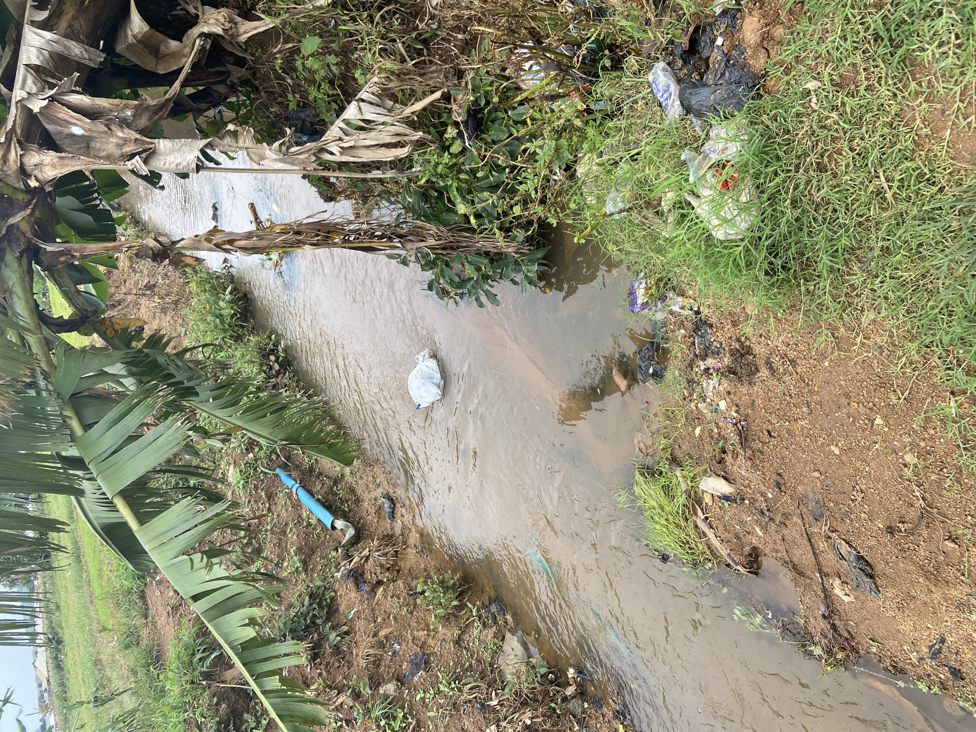 The image depicts a shallow, muddy stream flowing through an area with lush vegetation, likely in Udu, Nigeria. Banana trees with large, green leaves and dried fronds overhang the stream. The banks of the stream are littered with various forms of refuse, including plastic bags, wrappers, and what appears to be a white plastic bag floating in the water. A blue pipe is visible on the left bank, partially submerged. The surrounding environment suggests a rural or semi-rural setting with fields and some distant structures visible in the background. The overall impression is one of environmental pollution and neglect.