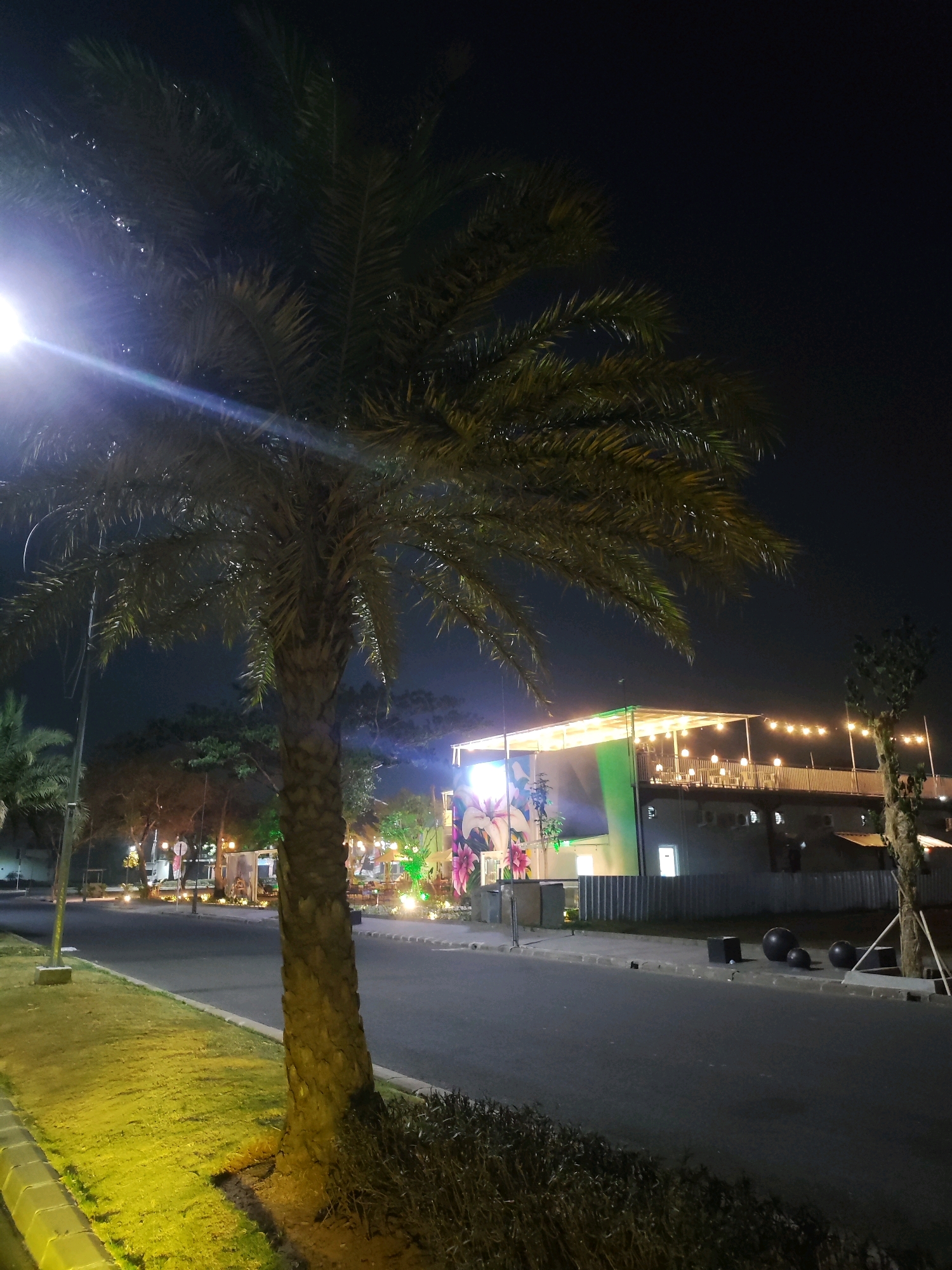 In Telagaasih, Indonesia, at nighttime, a palm tree stands prominently in the foreground, its fronds illuminated by a bright light source, possibly a streetlamp, to the left of the frame. The tree trunk is textured and appears robust. Adjacent to the tree is a well-maintained grassy area, bathed in a warm yellow light, bordered by a gray concrete curb and road. Across the street, a modern building with a rooftop seating area, adorned with string lights, is visible. The building's facade features colorful murals. Several dark, spherical objects and dark cubic objects are placed on the sidewalk in front of a corrugated metal fence. The overall scene suggests an outdoor entertainment or dining area that is active at night.