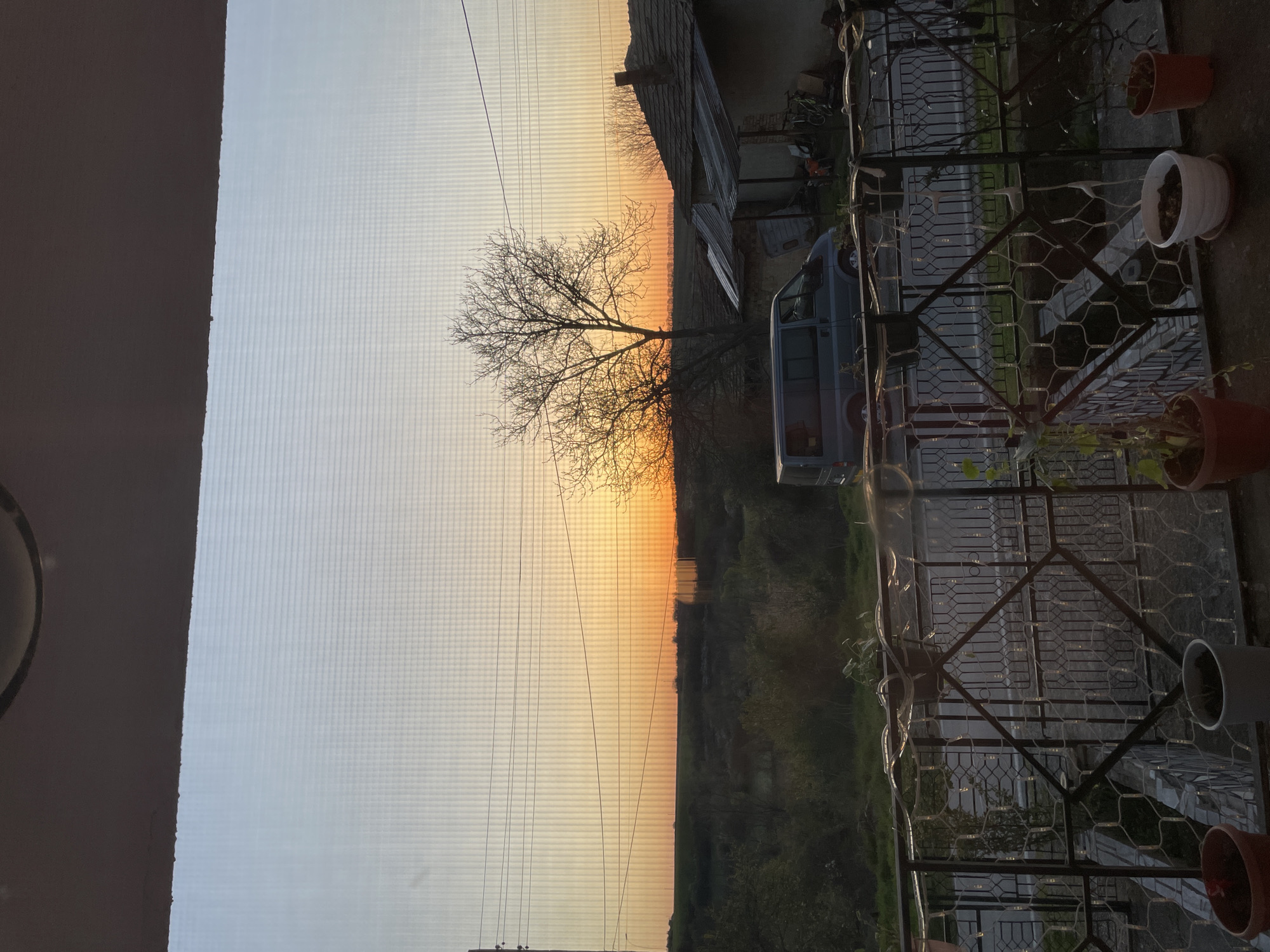 The image captures an outdoor sunset scene from a balcony in Voditsa, Bulgaria. In the immediate foreground, a dark, ornate metal balcony railing with intricate patterns is visible, along with several potted plants on the balcony floor.
Beyond the balcony, a rural or semi-rural landscape unfolds under the golden light of dusk. A light blue or grey van is parked on what appears to be a street or unpaved road below. To the left of the van, a prominent bare-branched tree stands silhouetted against the setting sun. Further back, a wooden building, possibly a house or barn with a corrugated or tin roof, is visible. Multiple thin power lines stretch horizontally across the middle of the frame.
The background features a horizon line with dense vegetation or distant trees, beyond which lies a flat expanse, likely fields. The sky dominates the upper portion of the image, displaying a vivid gradient of warm colors, transitioning from bright orange and yellow near the horizon where the sun is setting, to lighter hues of pale orange and blue-grey higher up. The image appears to have been taken through a screen or window mesh, as faint vertical and horizontal grid lines are visible across much of the frame. No people or visible text are present. The clear sky suggests fair weather during the twilight hours, creating a calm and picturesque evening scene.